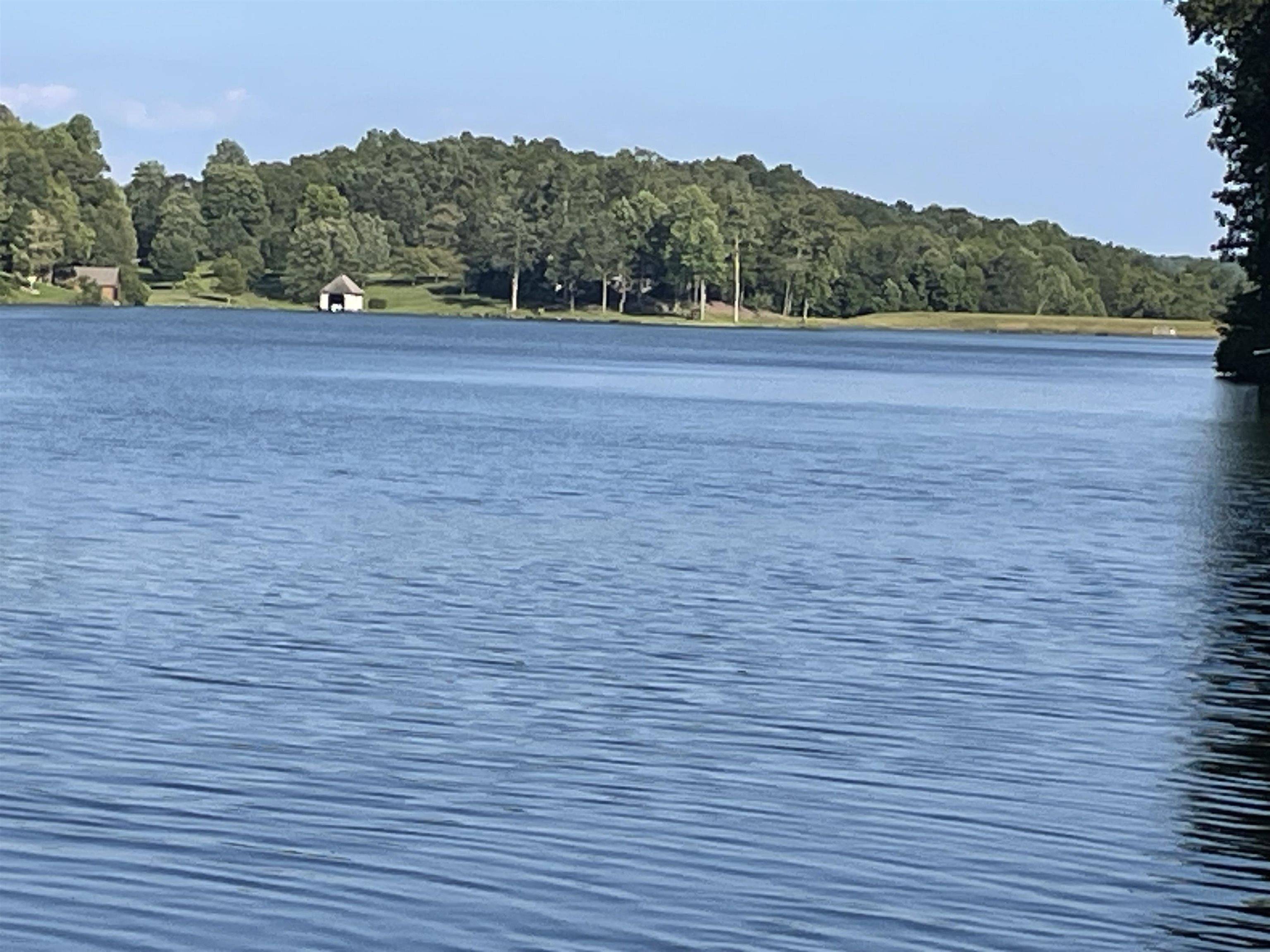 Cleveland, GA 30528,LOT 108 Lake Watch PT