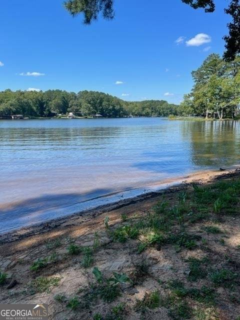 Sparta, GA 31087,LOT 137 Lake Crest Dr