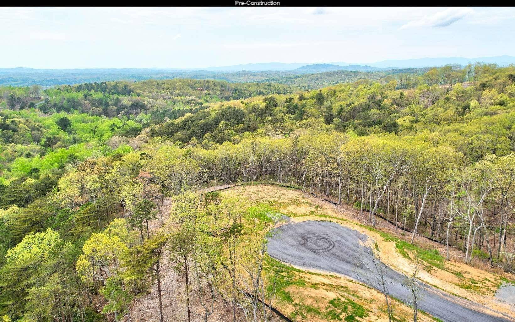 Ellijay, GA 30540,96 Vineyard At Yukon