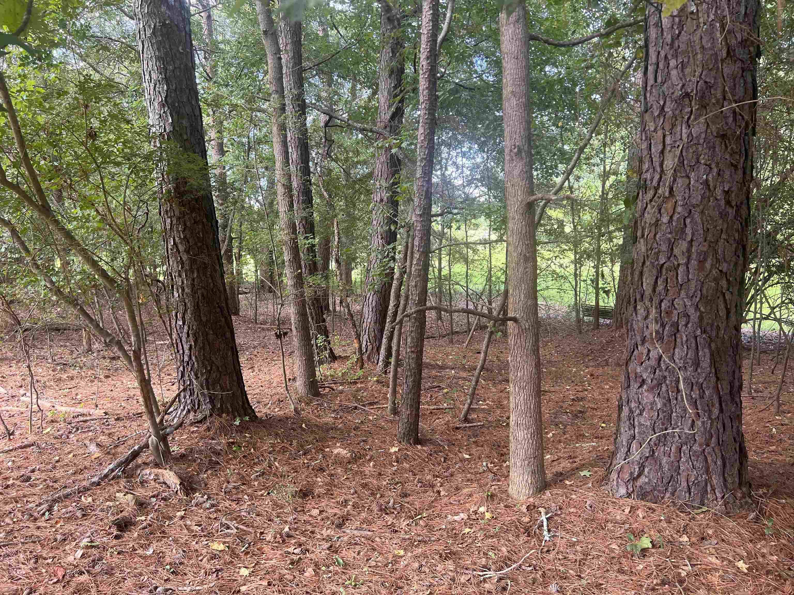 Hartwell, GA 30643,LOT 15 Nelle Drive