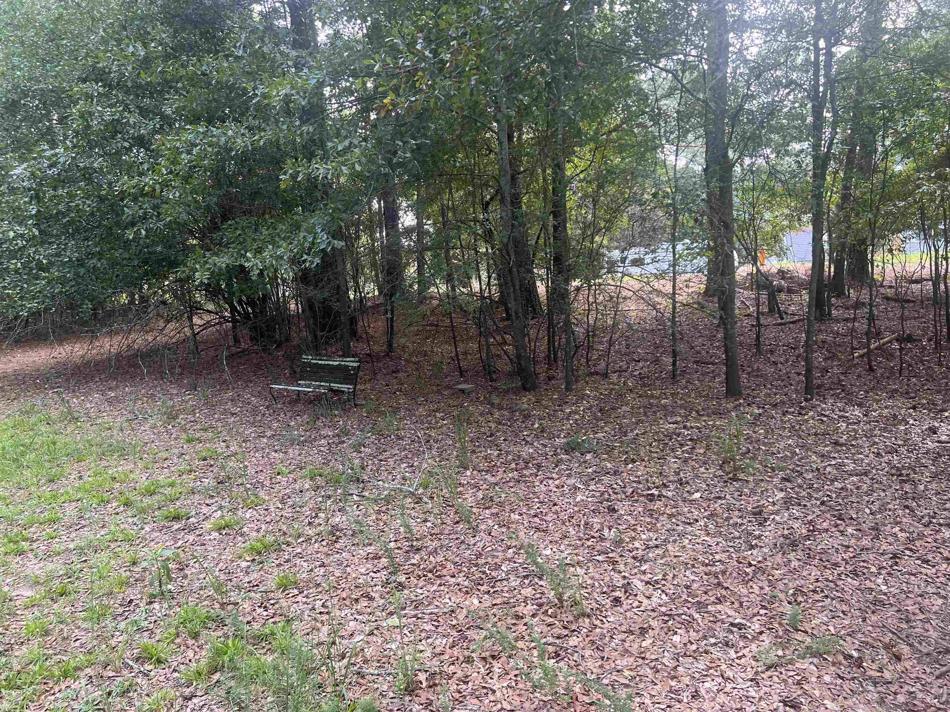 Hartwell, GA 30643,LOT 15 Nelle Drive