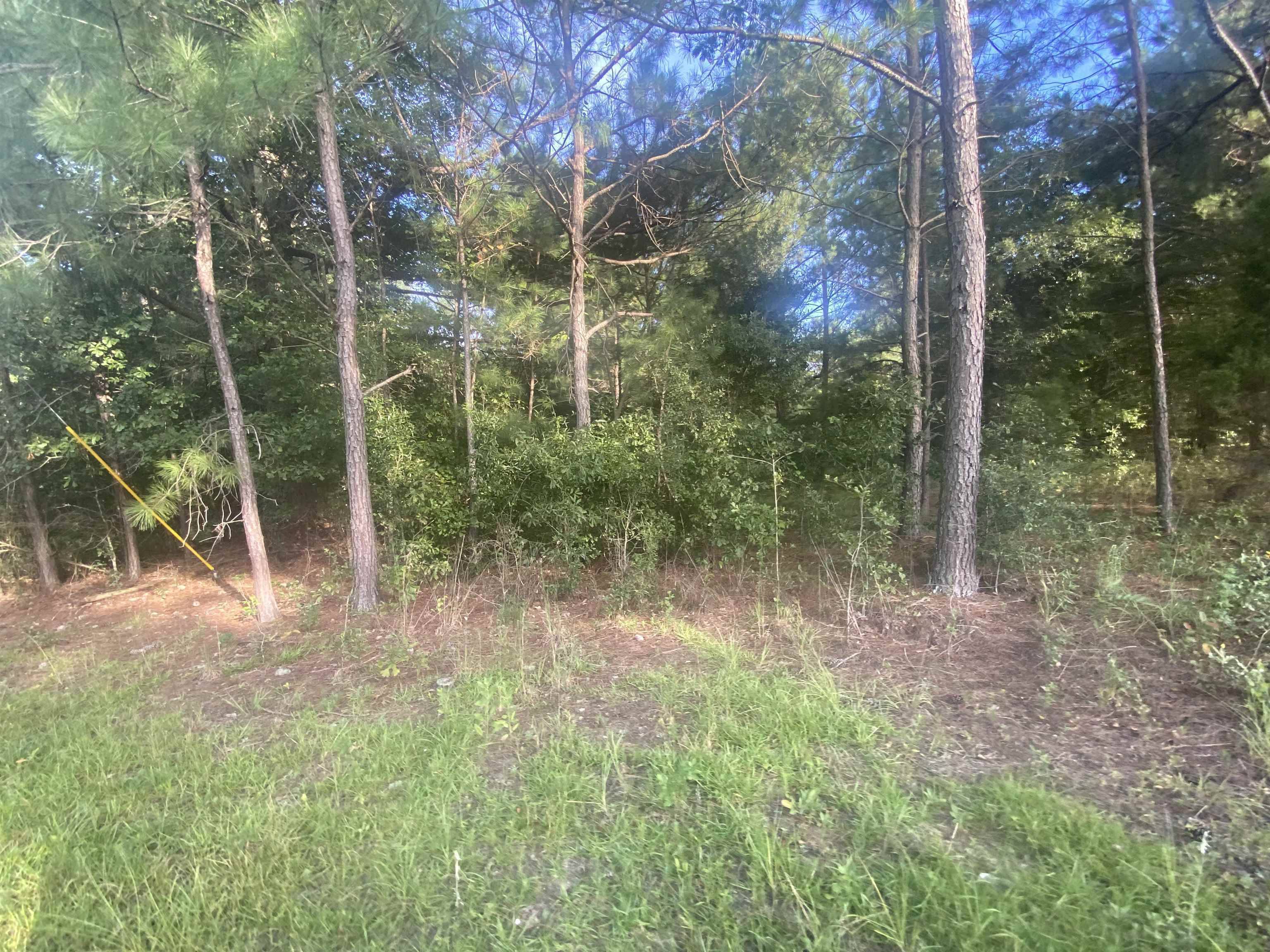 Cochran, GA 31014,LOT 7 Fairway DR