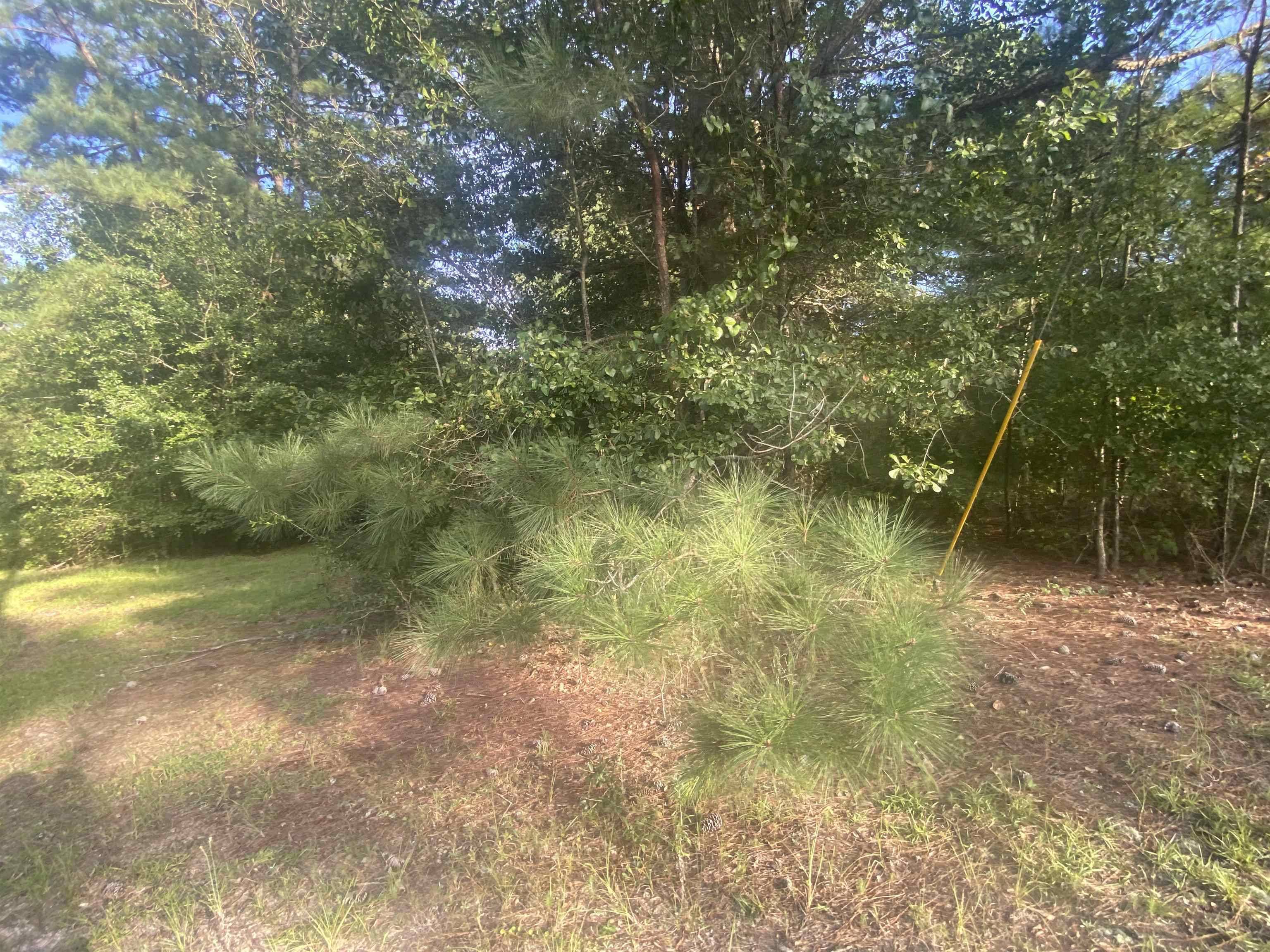 Cochran, GA 31014,LOT 7 Fairway DR