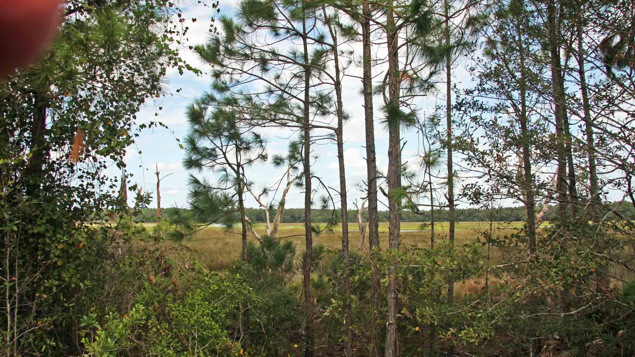 St. Marys, GA 31558,0 Bateau Drive Lot 362