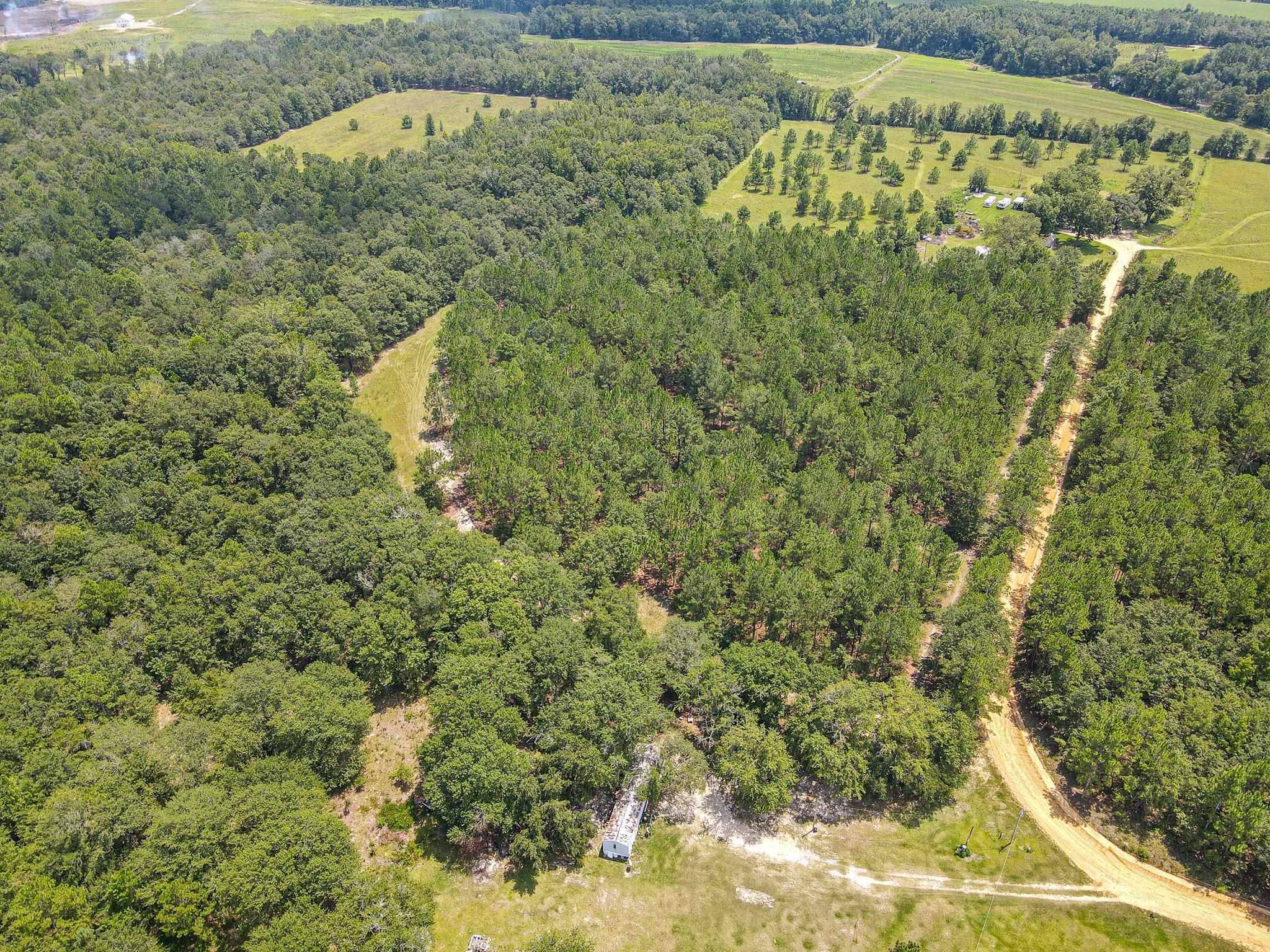 Metter, GA 30439,TRACT ONE Turkey Ridge RD