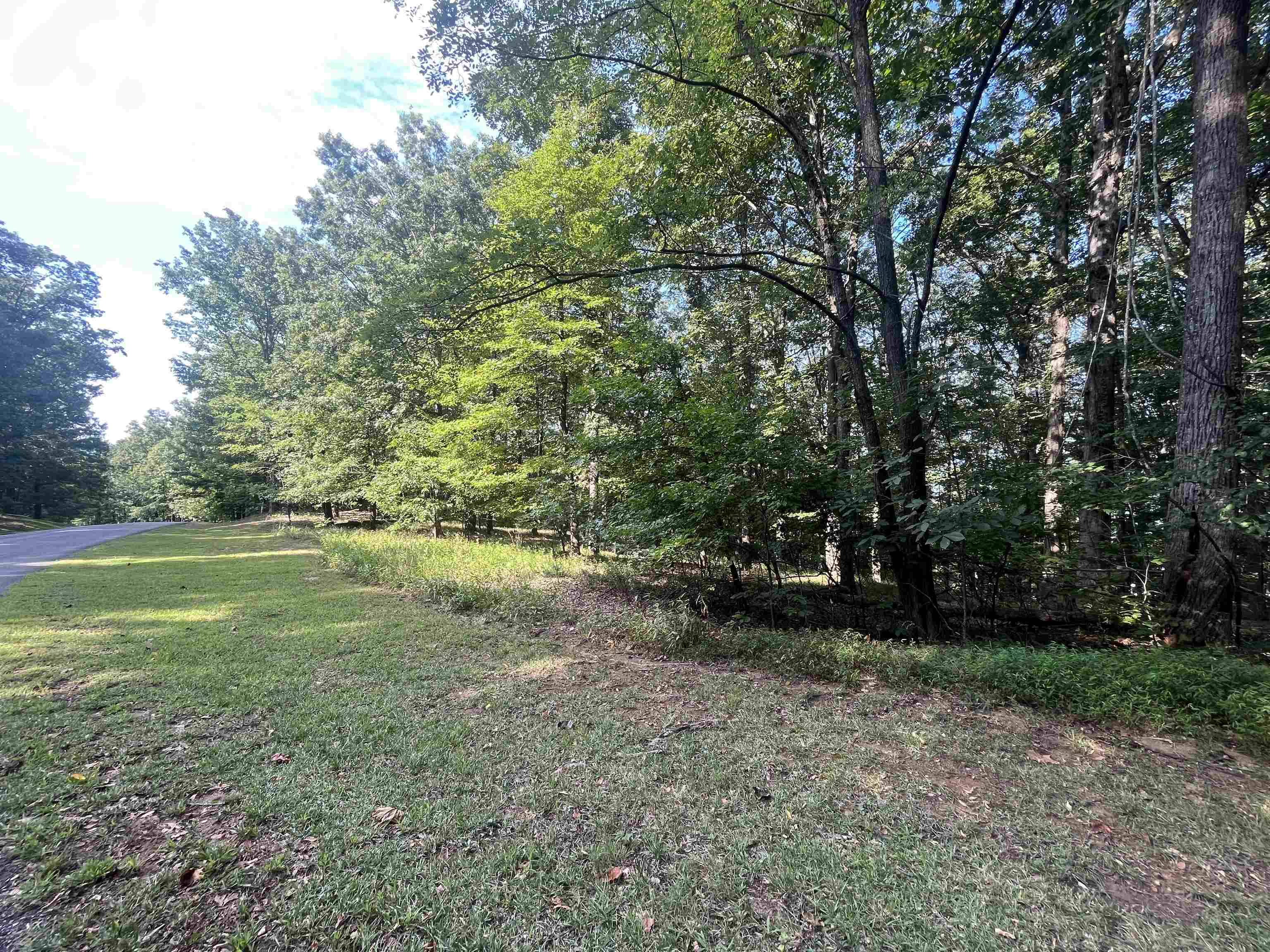 Cleveland, GA 30528,0 Mountain Side Drive - Lot 33