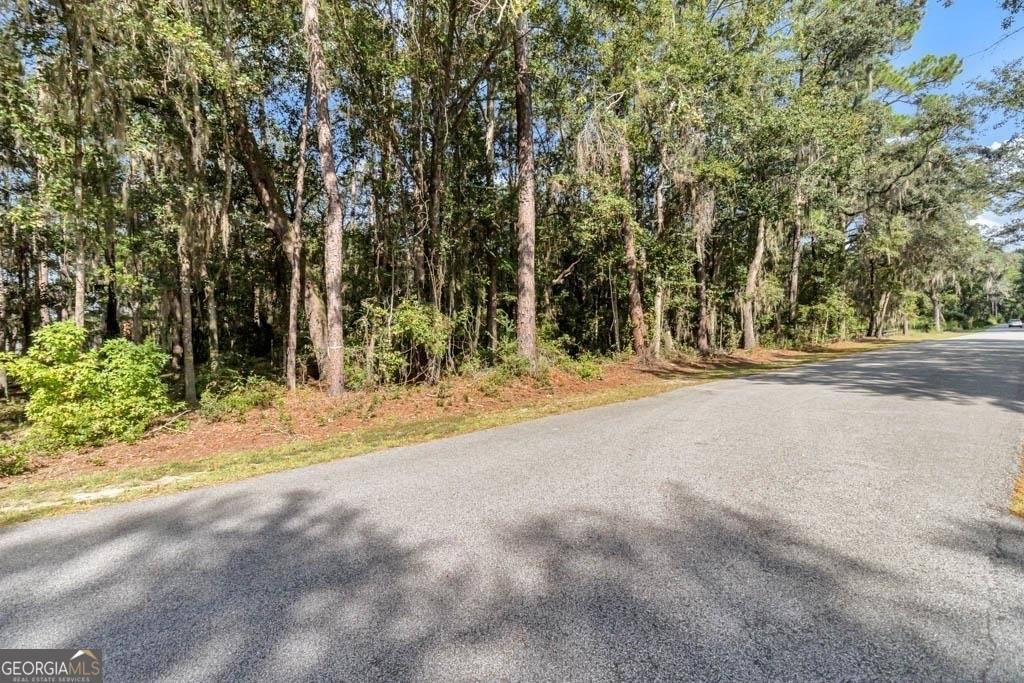 Townsend, GA 31331,LOT 5 Eagle Neck DR