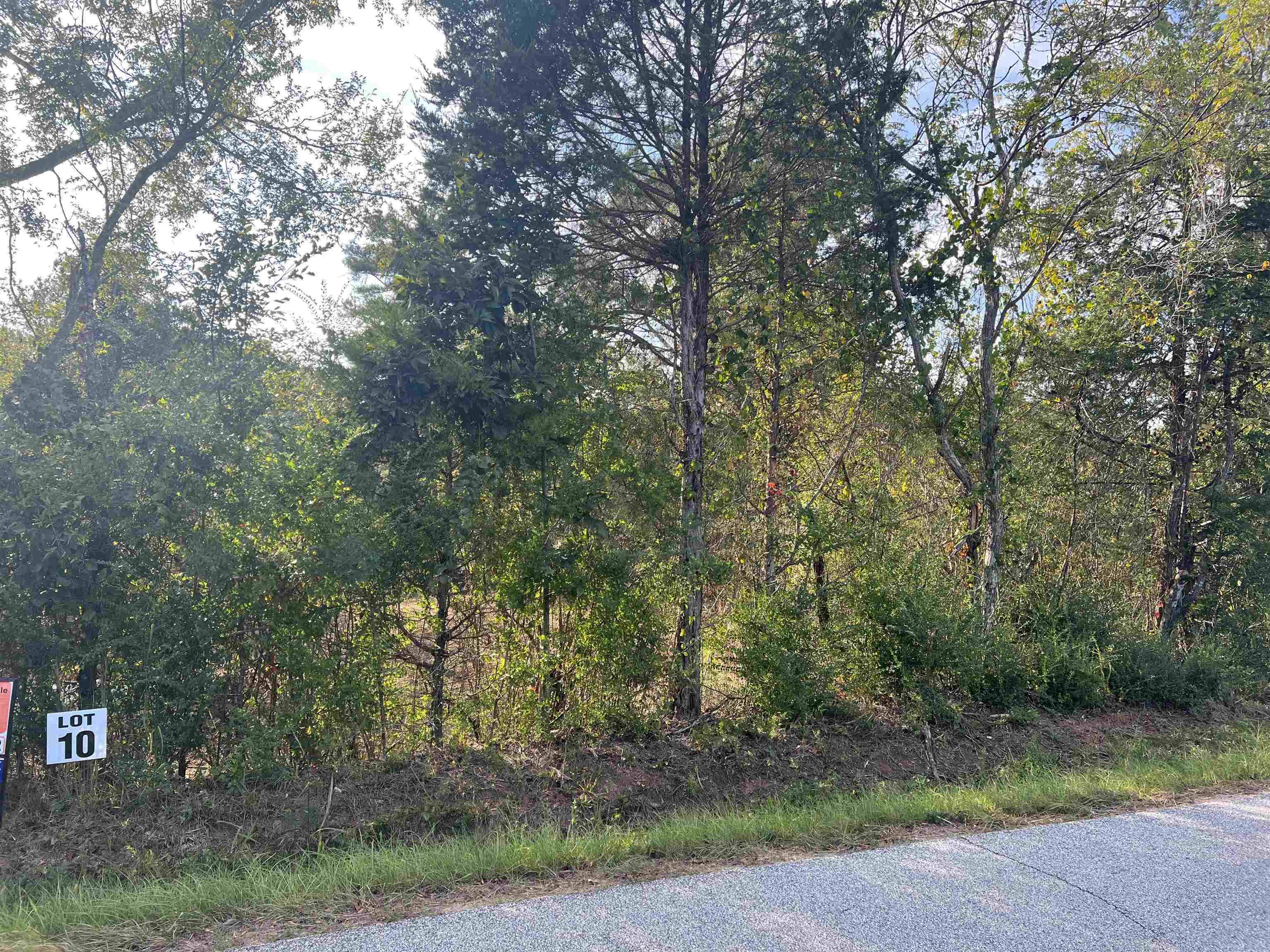 Loganville, GA 30052,LOT 10 Kent Rock RD