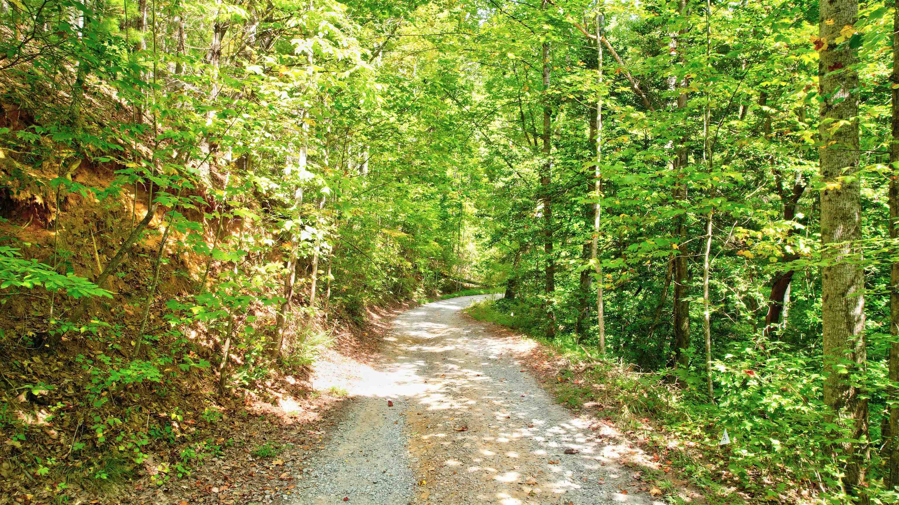 Ellijay, GA 30540,LOT 20 Big Ben Road