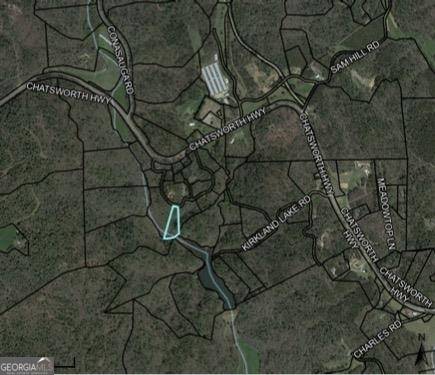 Ellijay, GA 30540,0 Conasauga DR #LOT 13