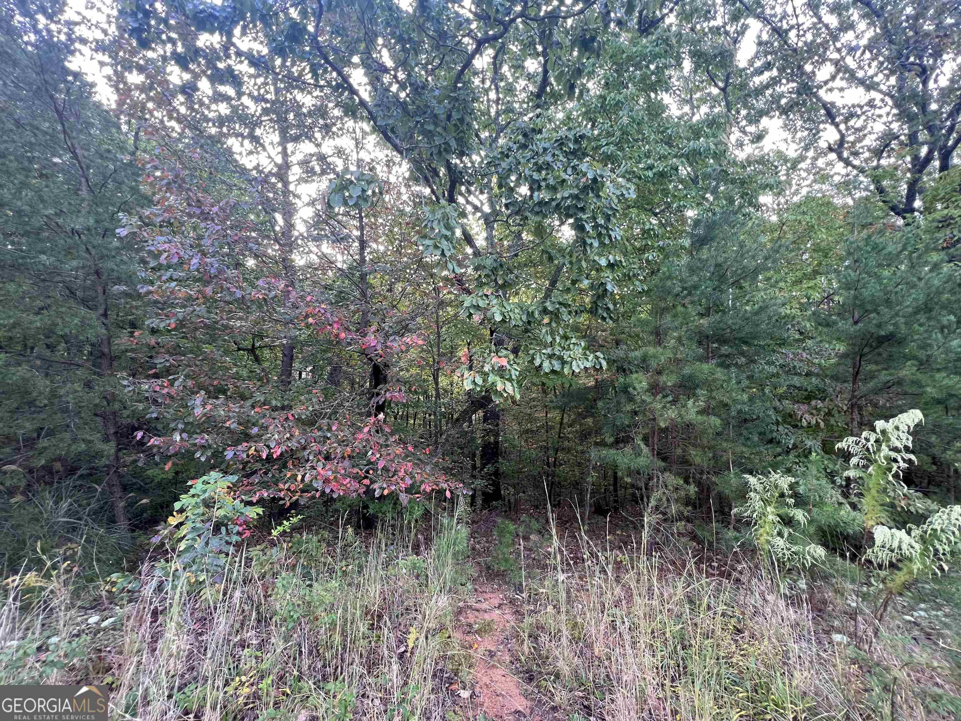 Cleveland, GA 30528,LOT 37 Teel Mountain LN