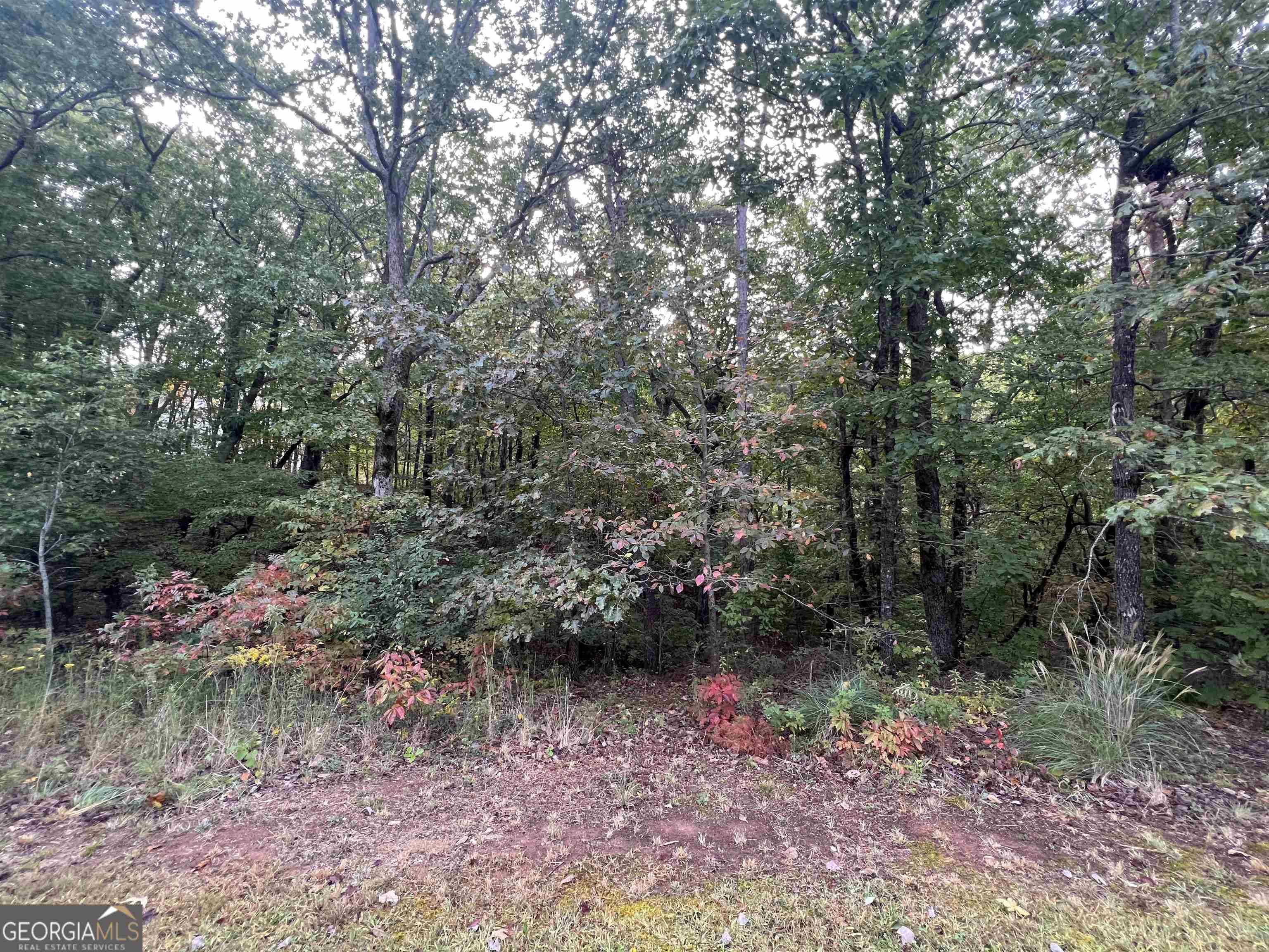 Cleveland, GA 30528,LOT 37 Teel Mountain LN