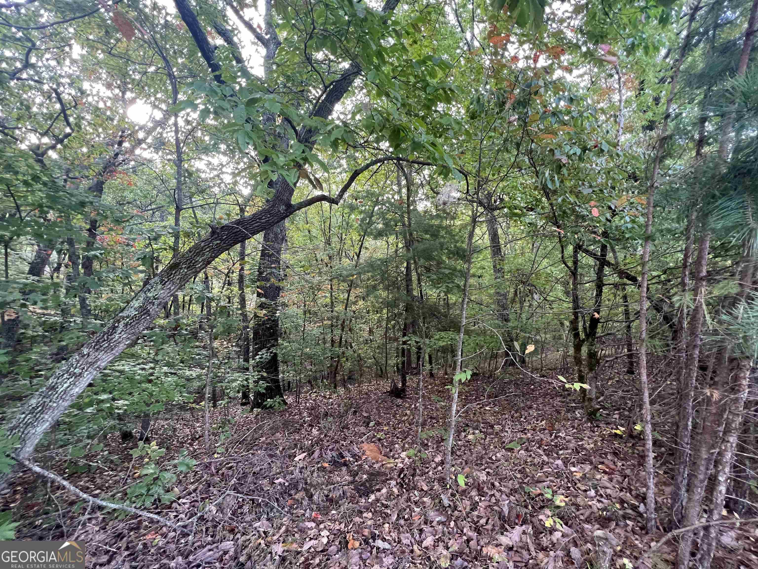 Cleveland, GA 30528,LOT 37 Teel Mountain LN