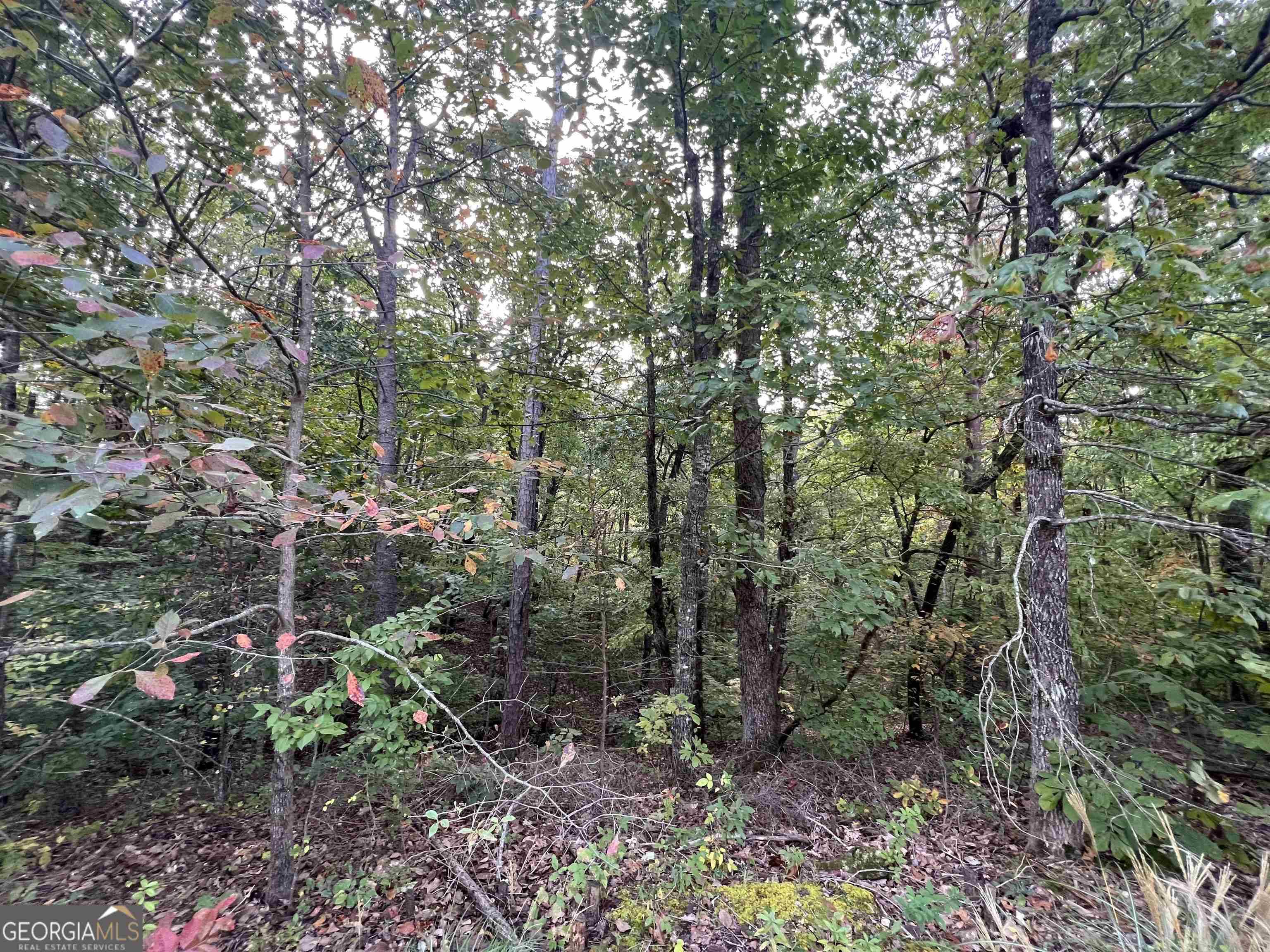 Cleveland, GA 30528,LOT 37 Teel Mountain LN