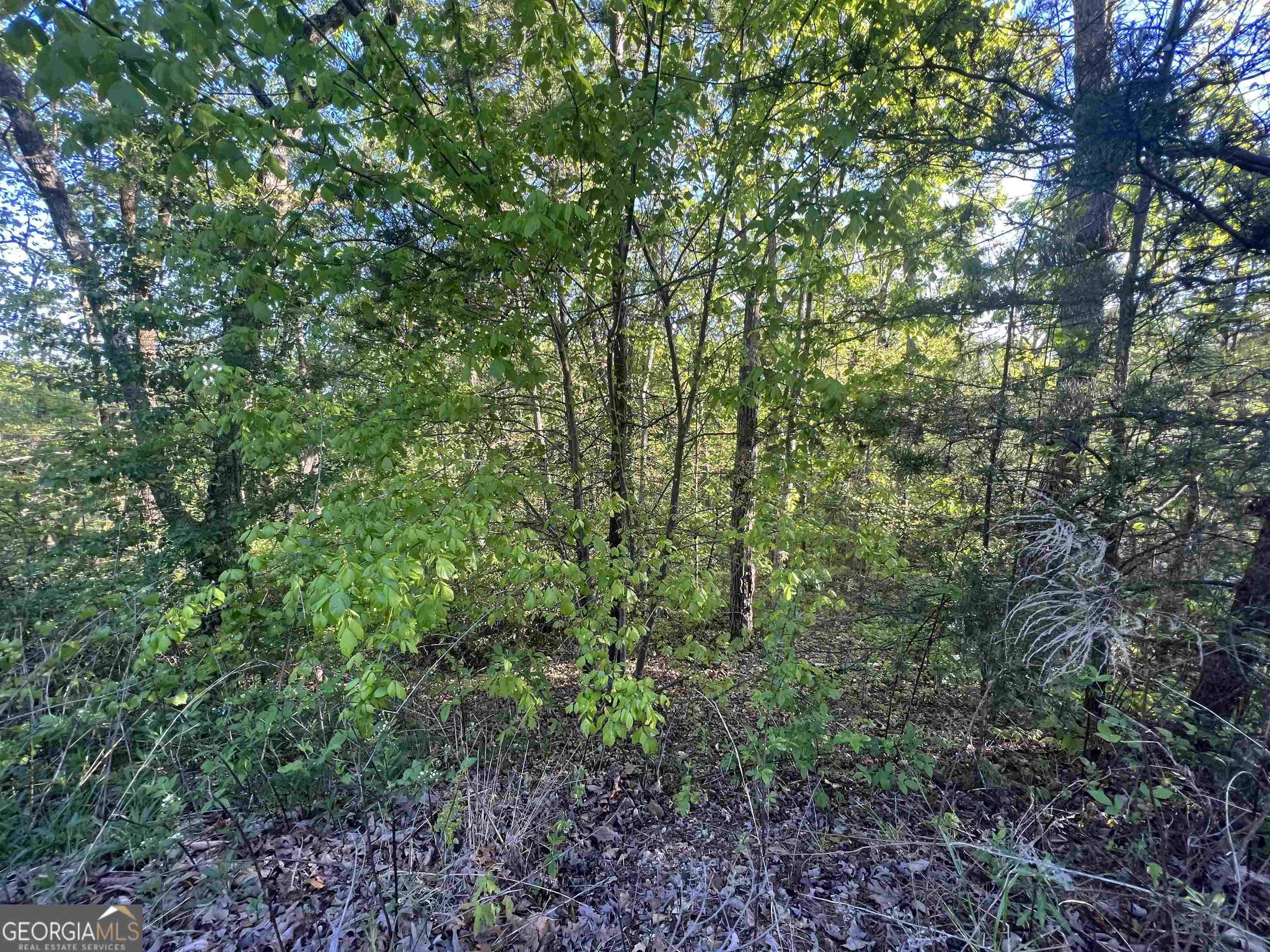 Cleveland, GA 30528,LOT 57 Teel Mtn DR