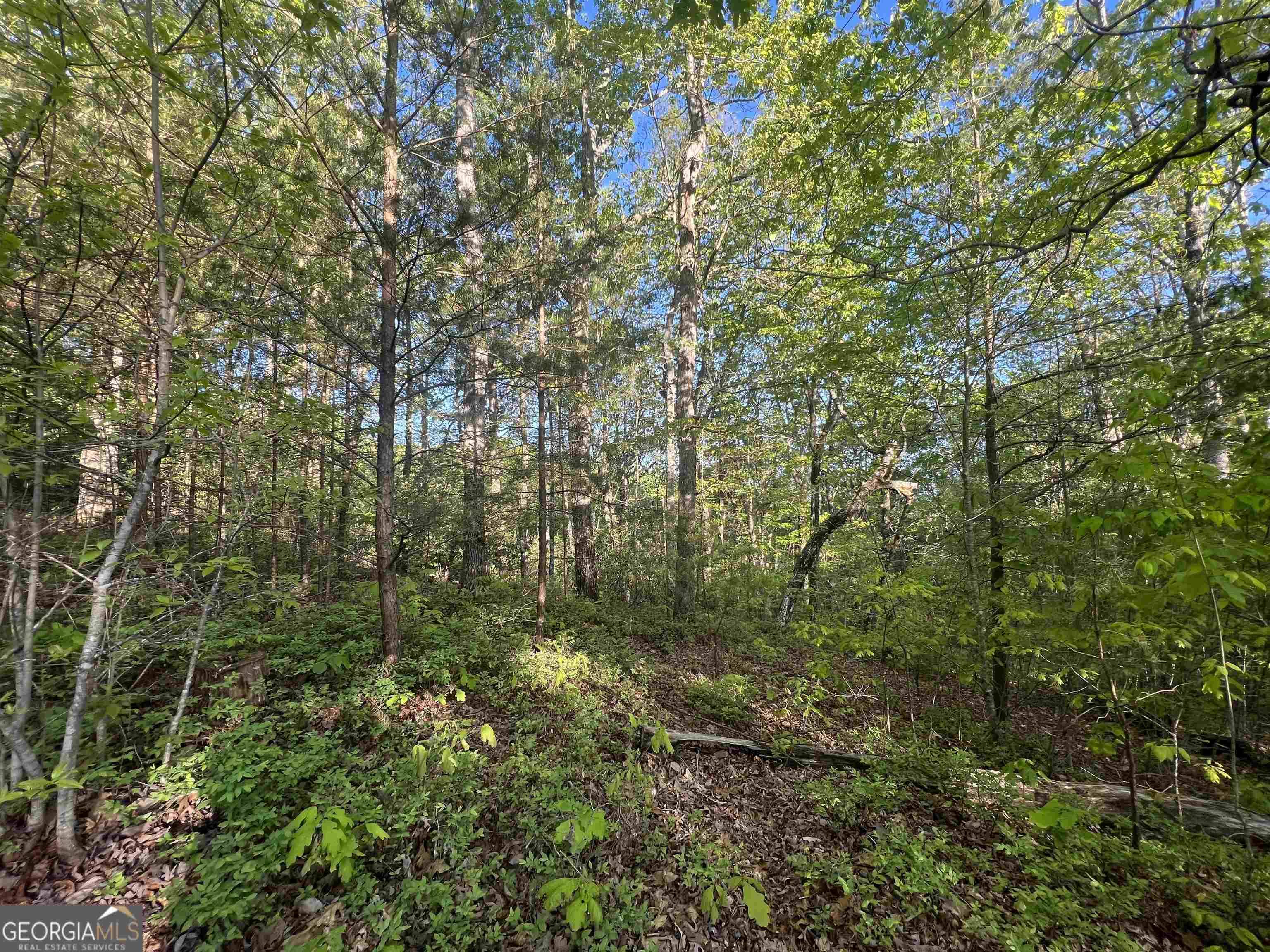 Cleveland, GA 30528,LOT 57 Teel Mtn DR