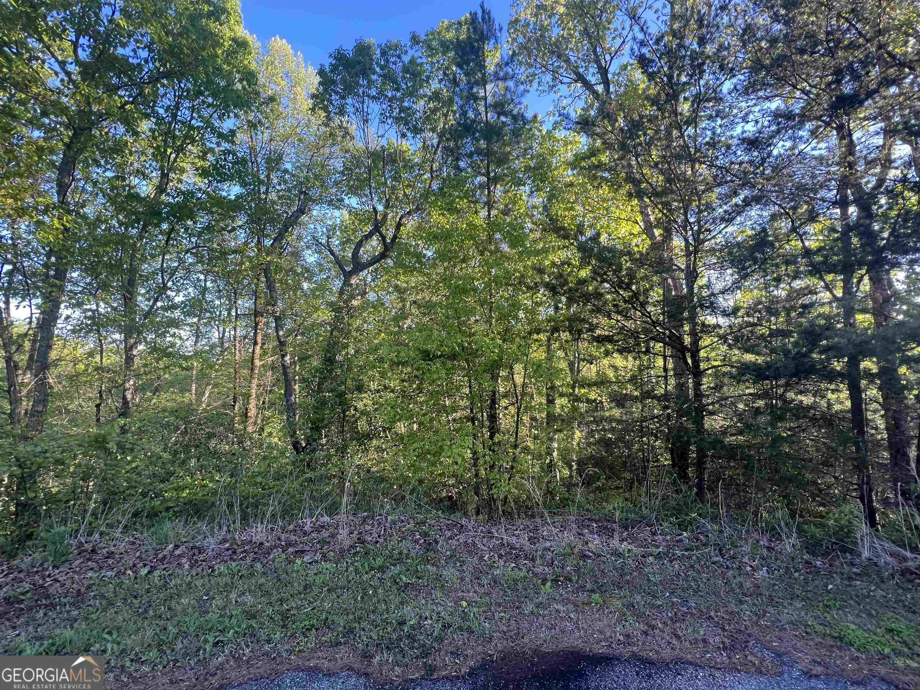 Cleveland, GA 30528,LOT 57 Teel Mtn DR