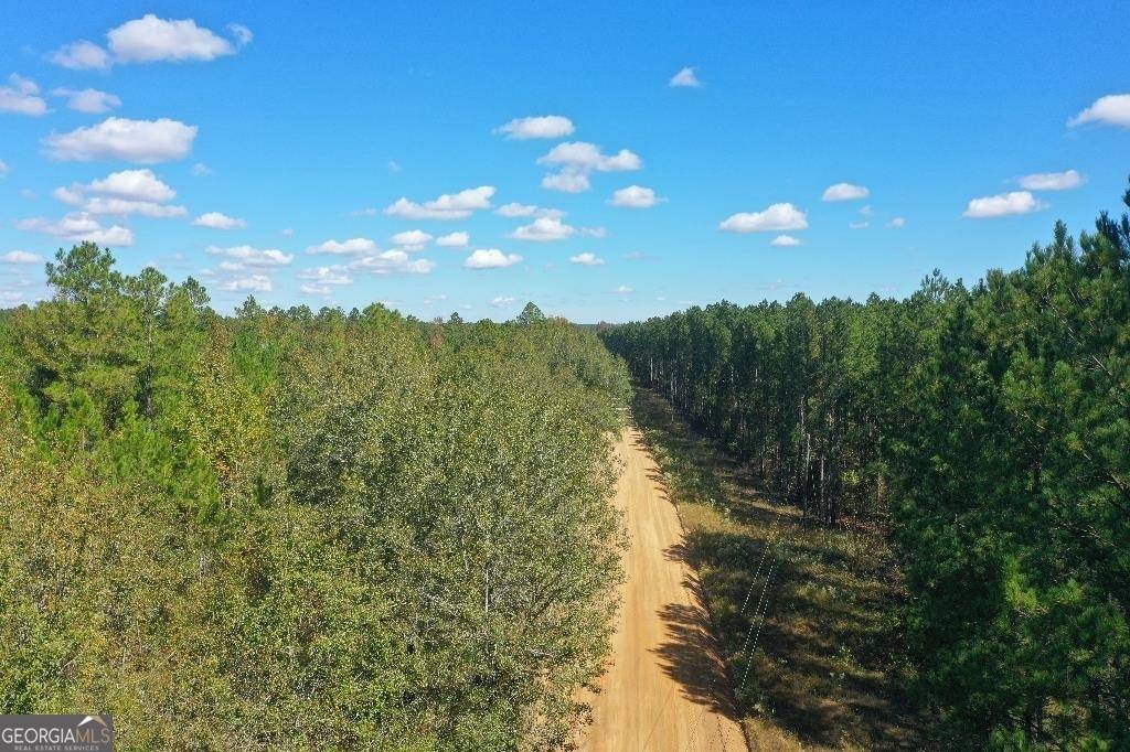 Eastman, GA 31023,LOT 11 Lower Rocky Springs RD