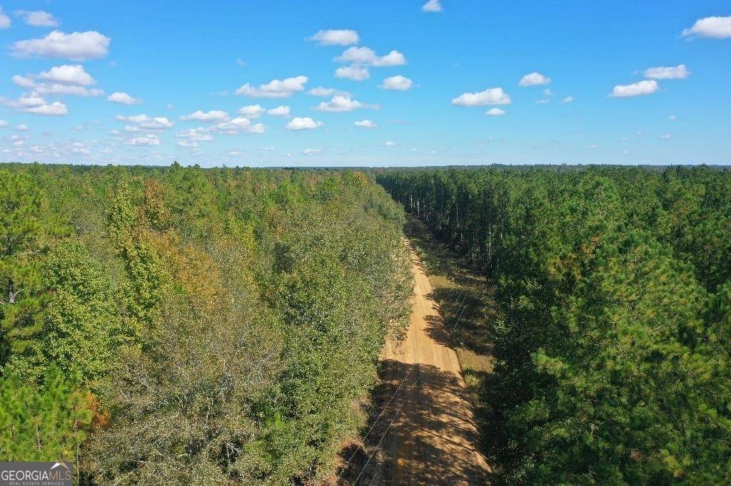 Eastman, GA 31023,LOT 11 Lower Rocky Springs RD