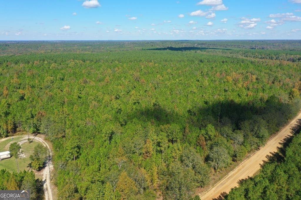 Eastman, GA 31023,LOT 11 Lower Rocky Springs RD