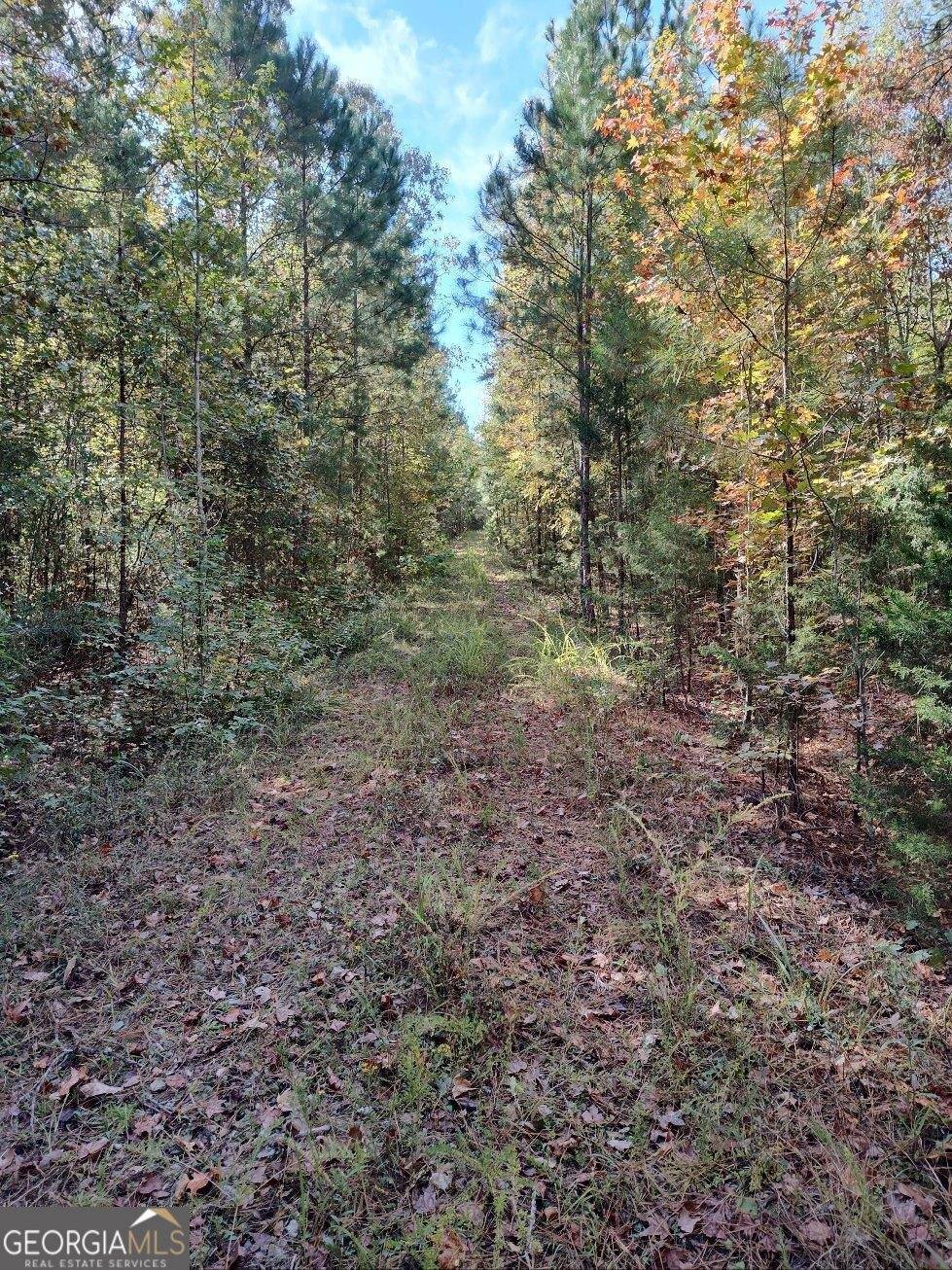 Elberton, GA 30635,0 Old Middleton Road