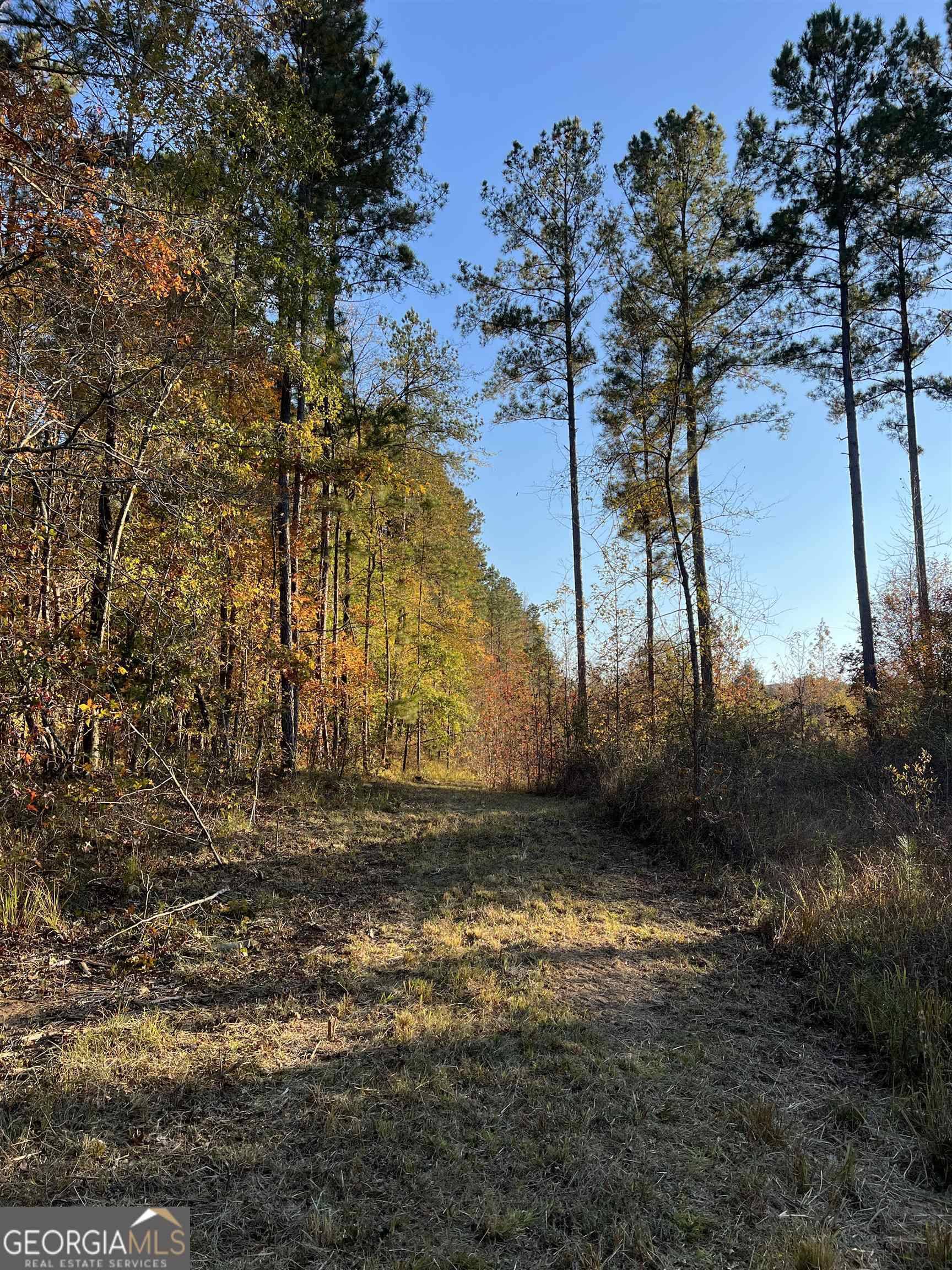 Crawfordville, GA 30631,000 Lower Mill RD