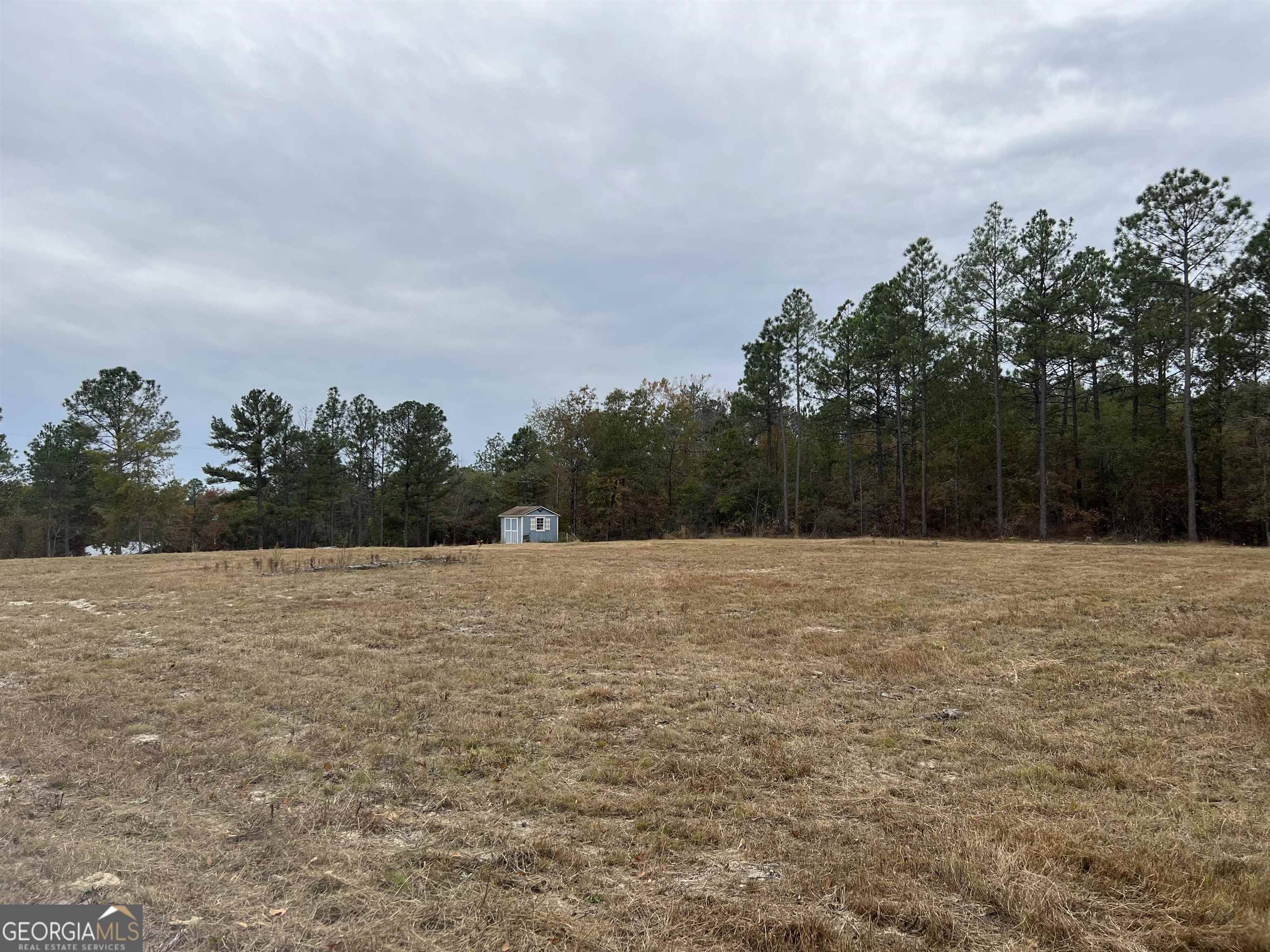 Mauk, GA 31058,253 Treadwell Ln