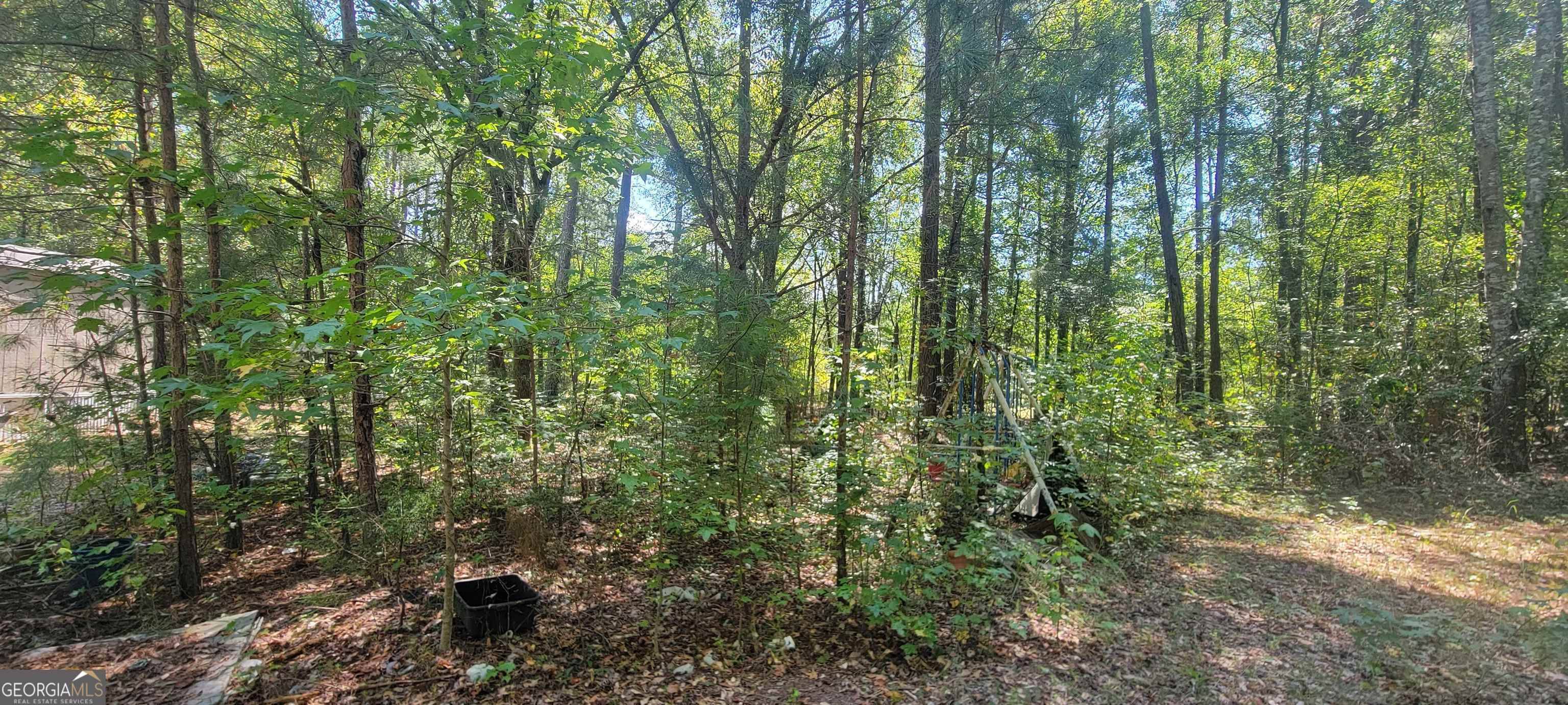 Shady Dale, GA 31085,1350 Kline RD