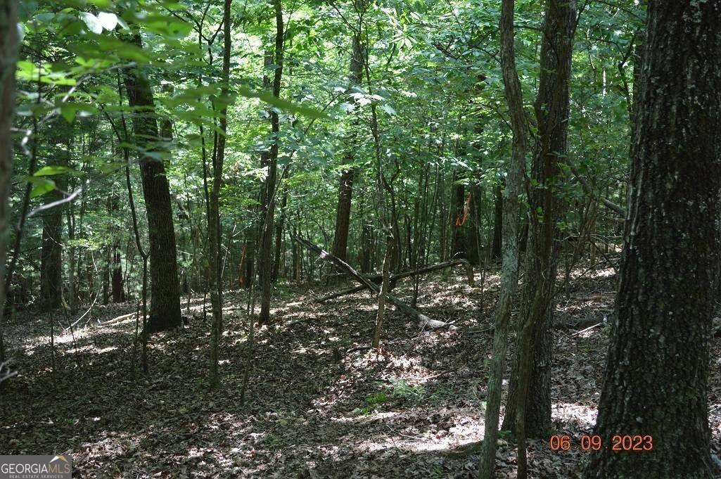 Ellijay, GA 30540,0 Malory CIR #LOT 1422