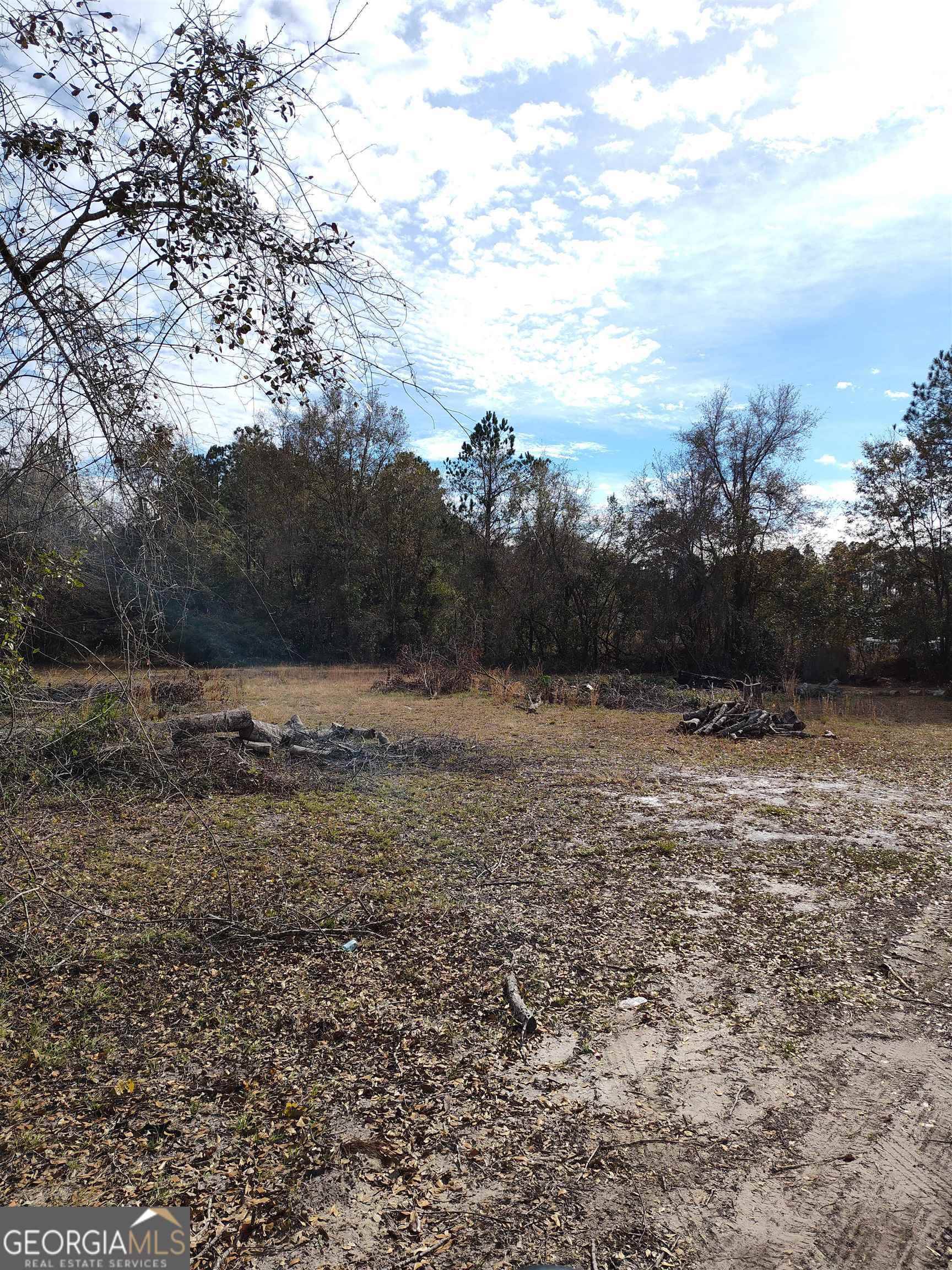 Folkston, GA 31537,LOT # 18 Palmhurst DR