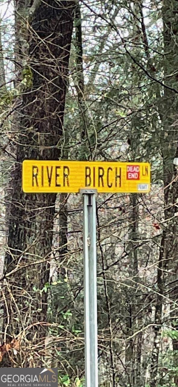 Tiger, GA 30576,0 River Birch LN #LOT 32