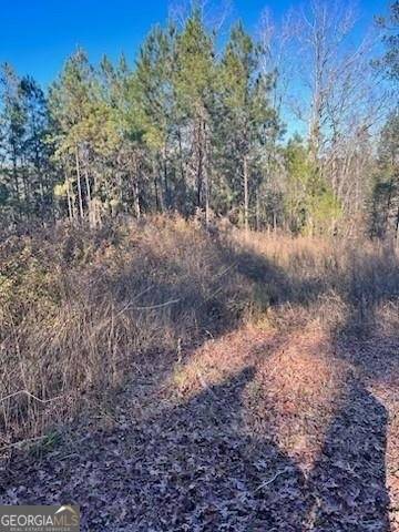 Elberton, GA 30635,0 Bluff Road