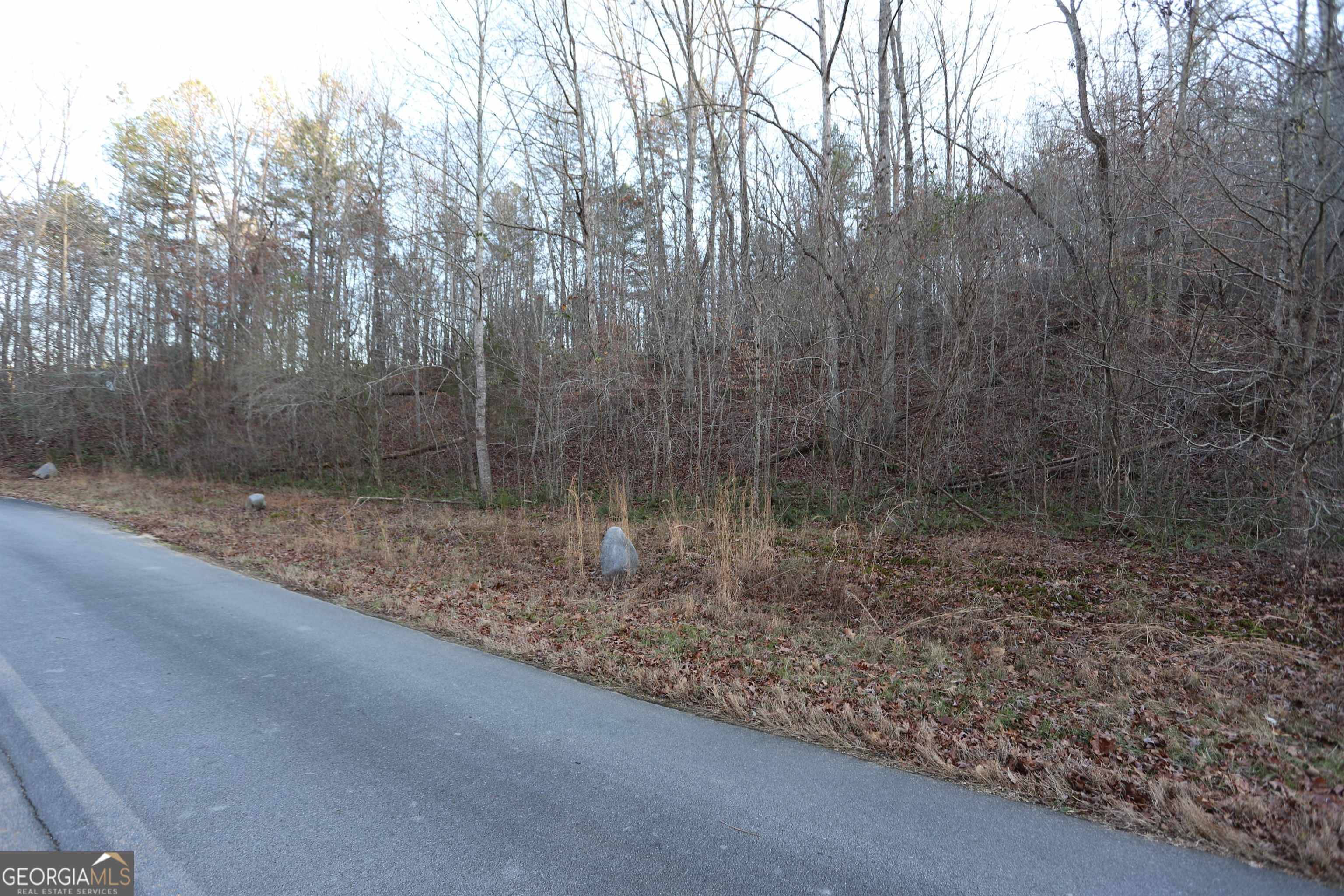 Trion, GA 30753,000 Sand Pit Rd