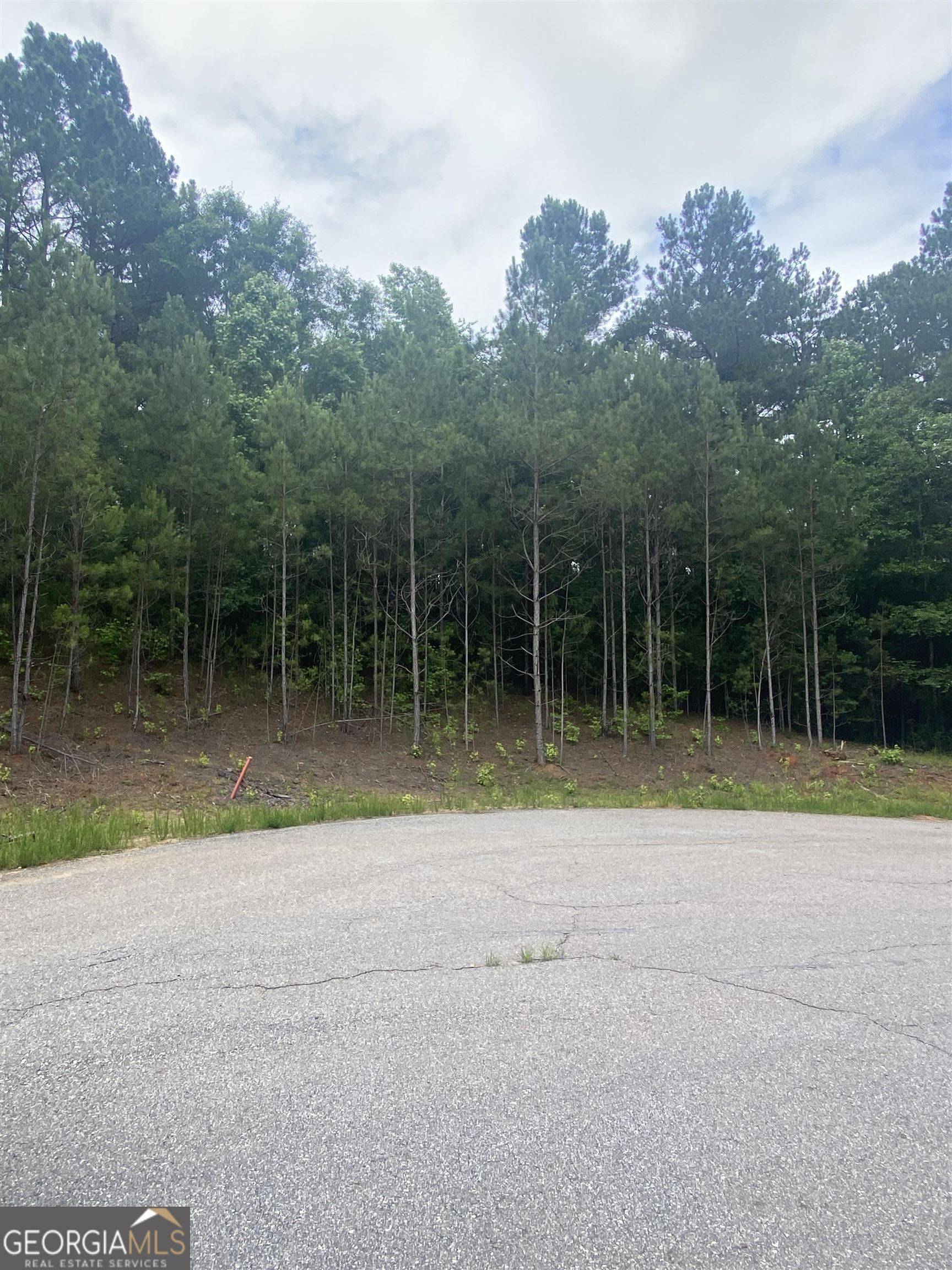 Colbert, GA 30628,0 Sourwood TRL