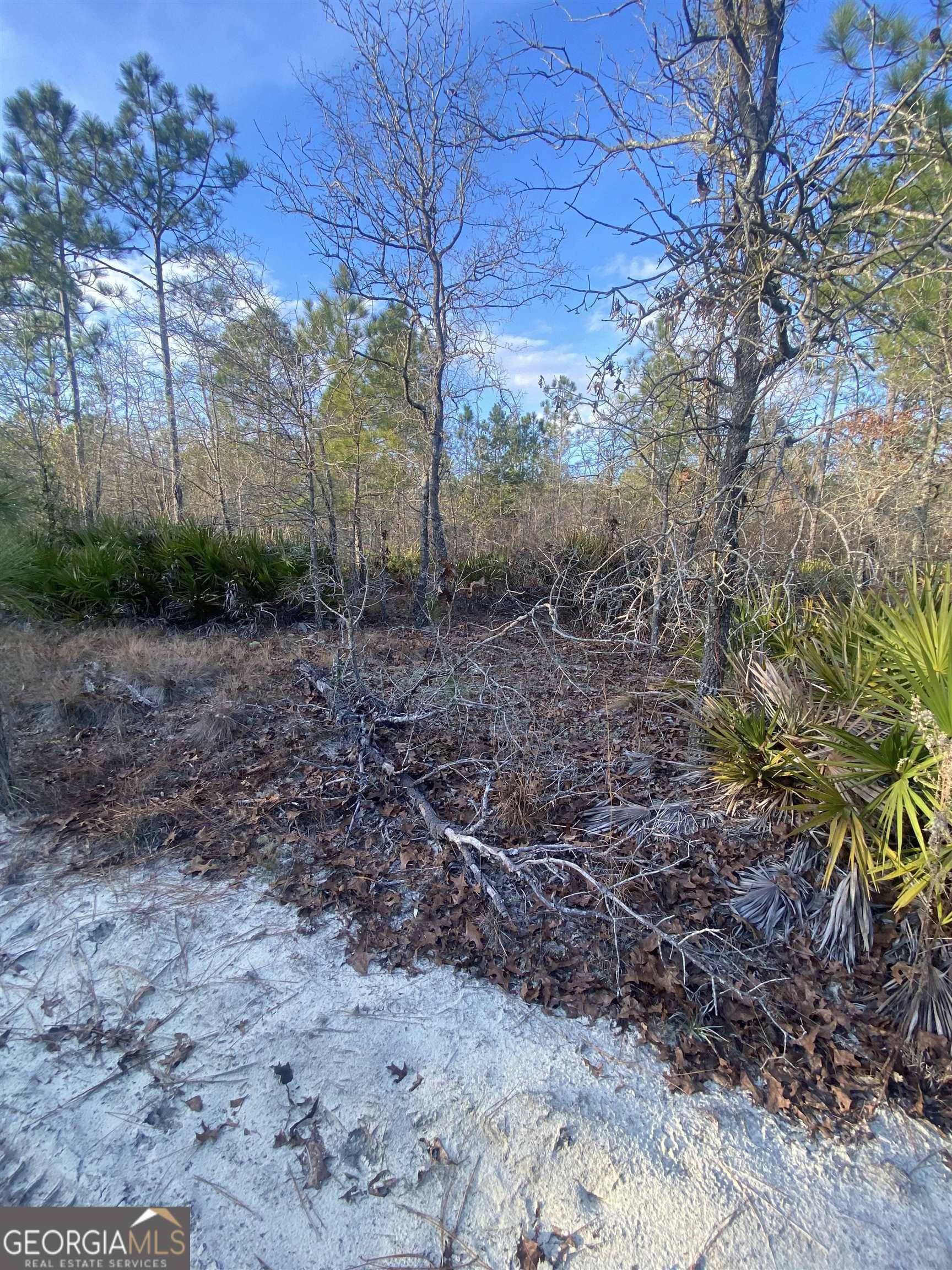 Glennville, GA 30427,0 Robert Chapel Cemetery Road