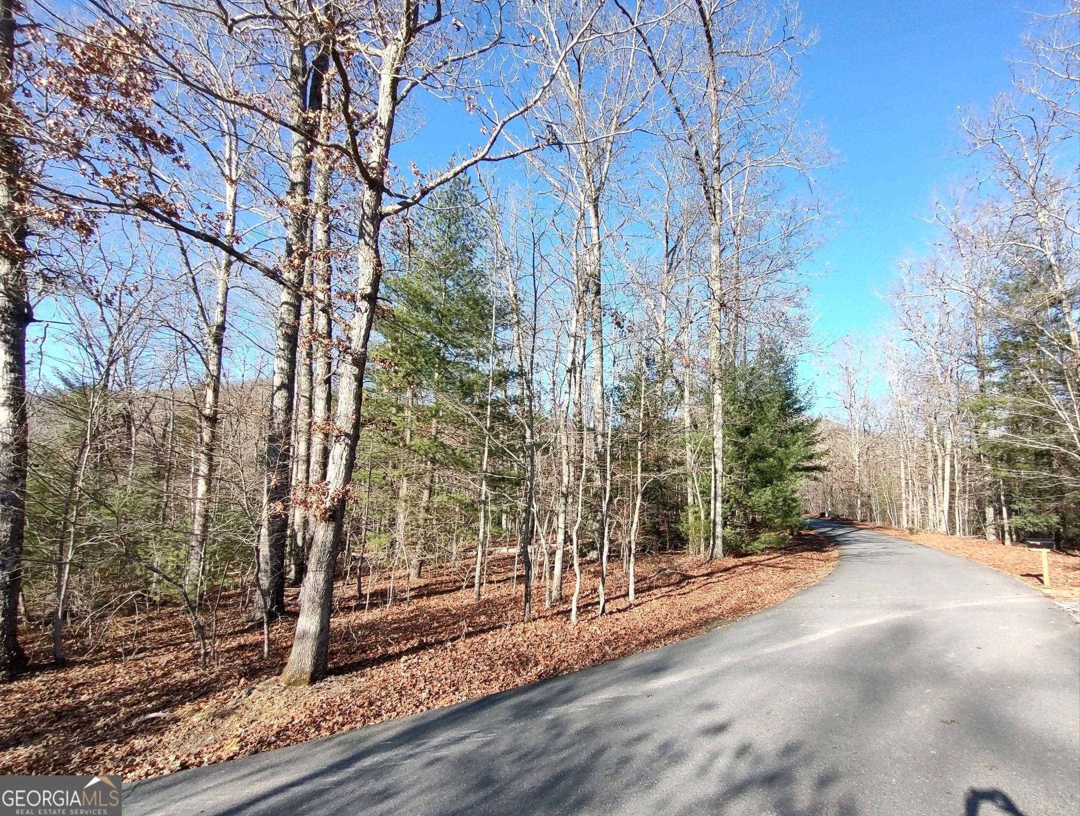 Hayesville, NC 28904,LOT 14 Mission Ridge DR