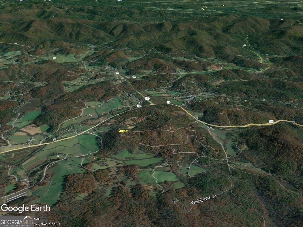 Blairsville, GA 30512,LOT 11 Self Mountain RD