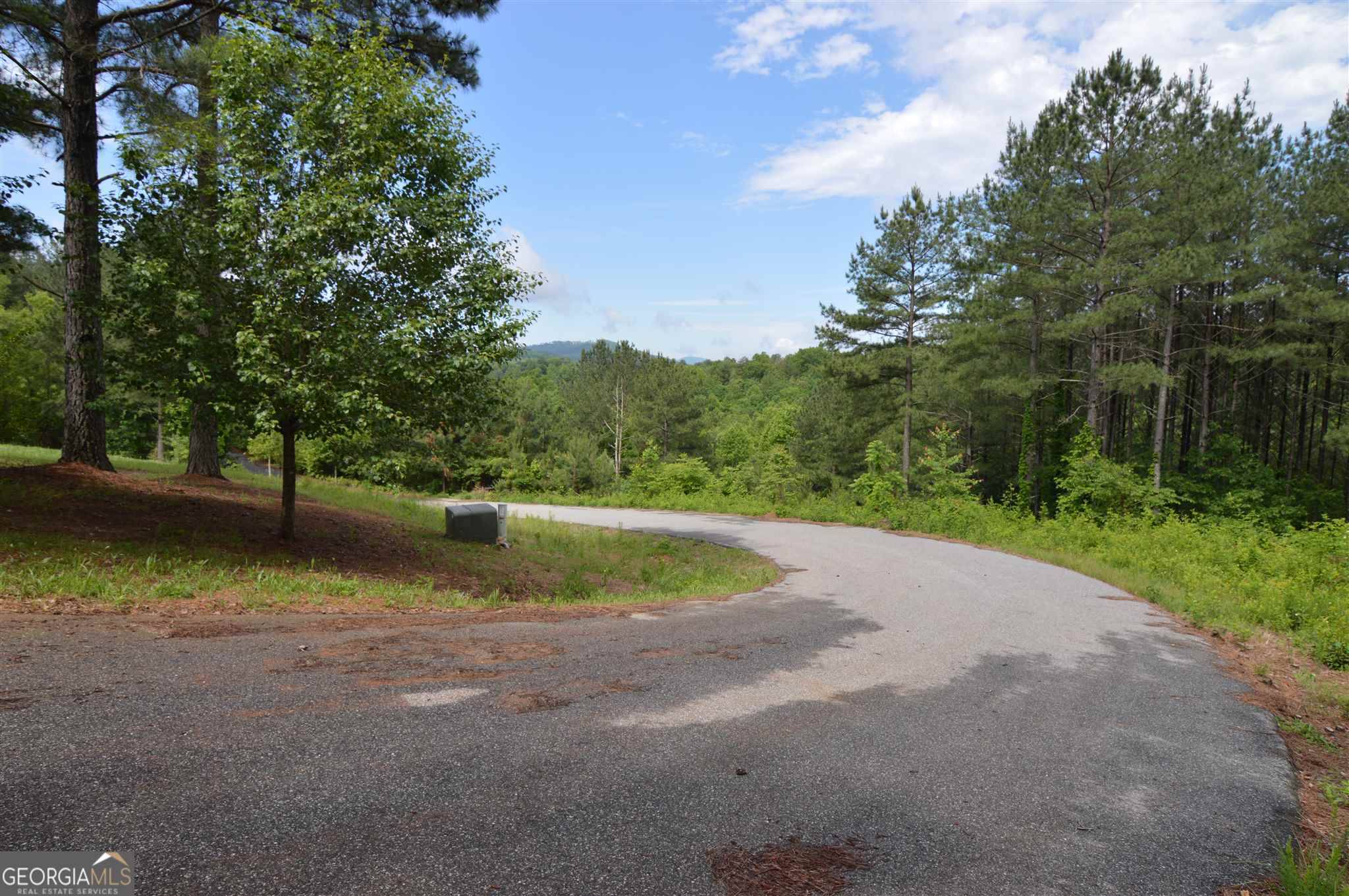 Blairsville, GA 30512,LOT 50 Pinehurst