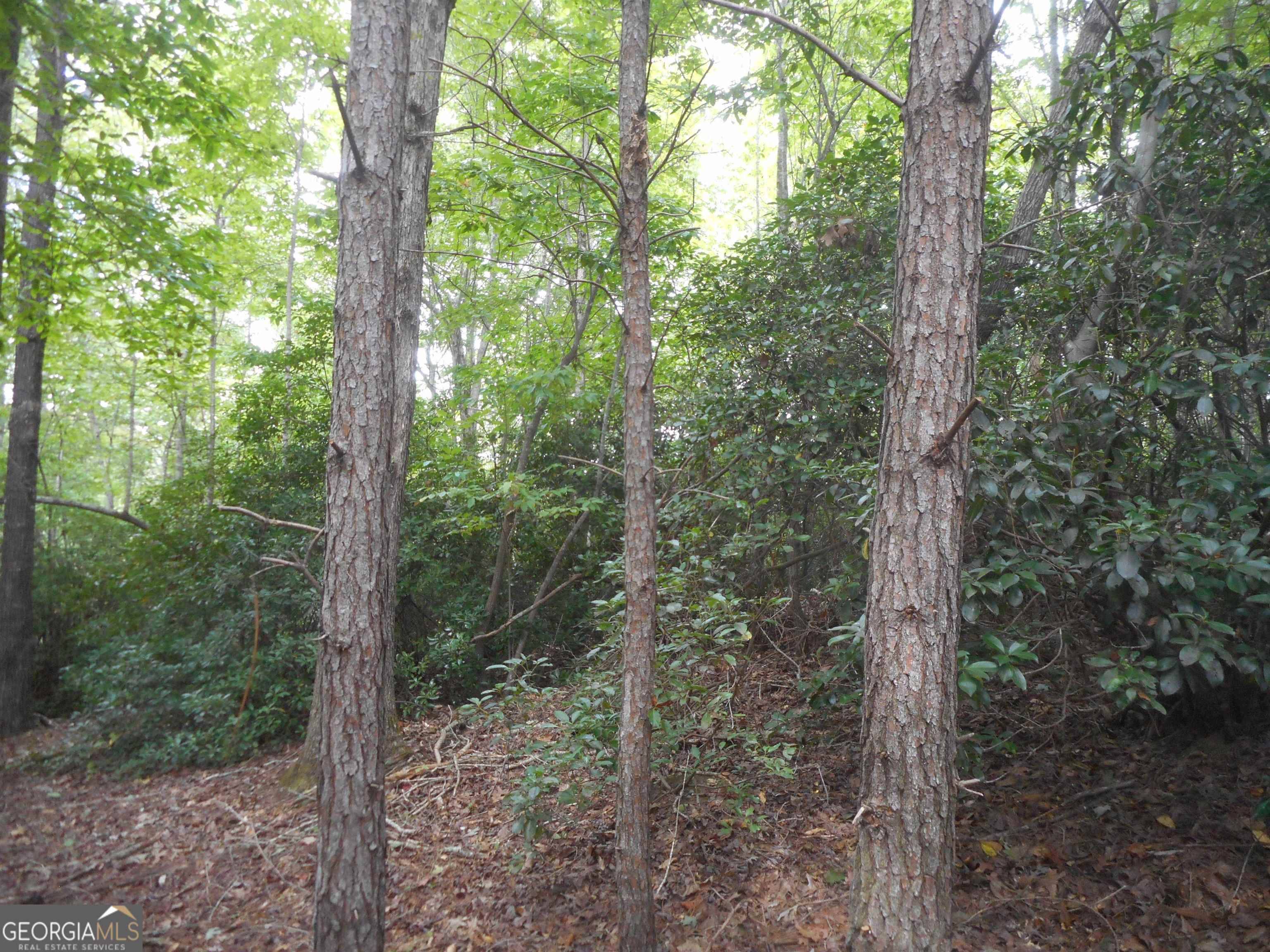 Baldwin, GA 30511,150 Lake Ridge Trail