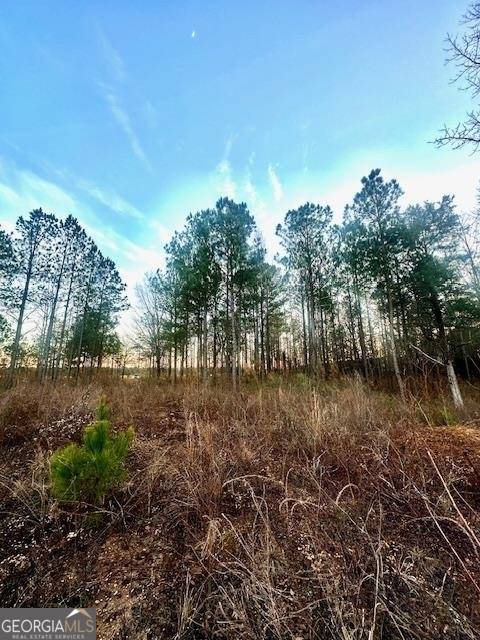 Milner, GA 30257,535 High Falls Park