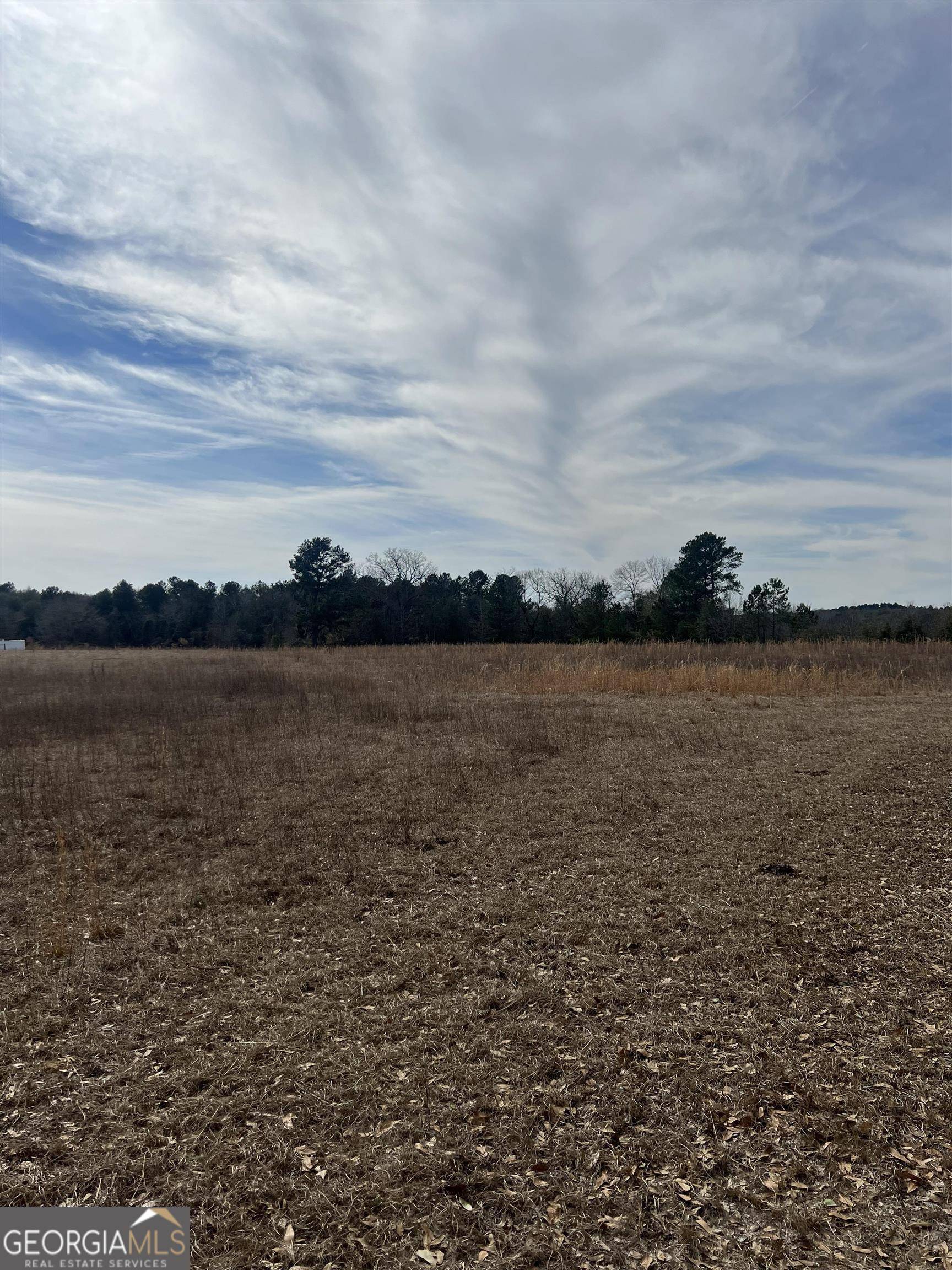 Waynesboro, GA 30830,000 Claxton Lively RD