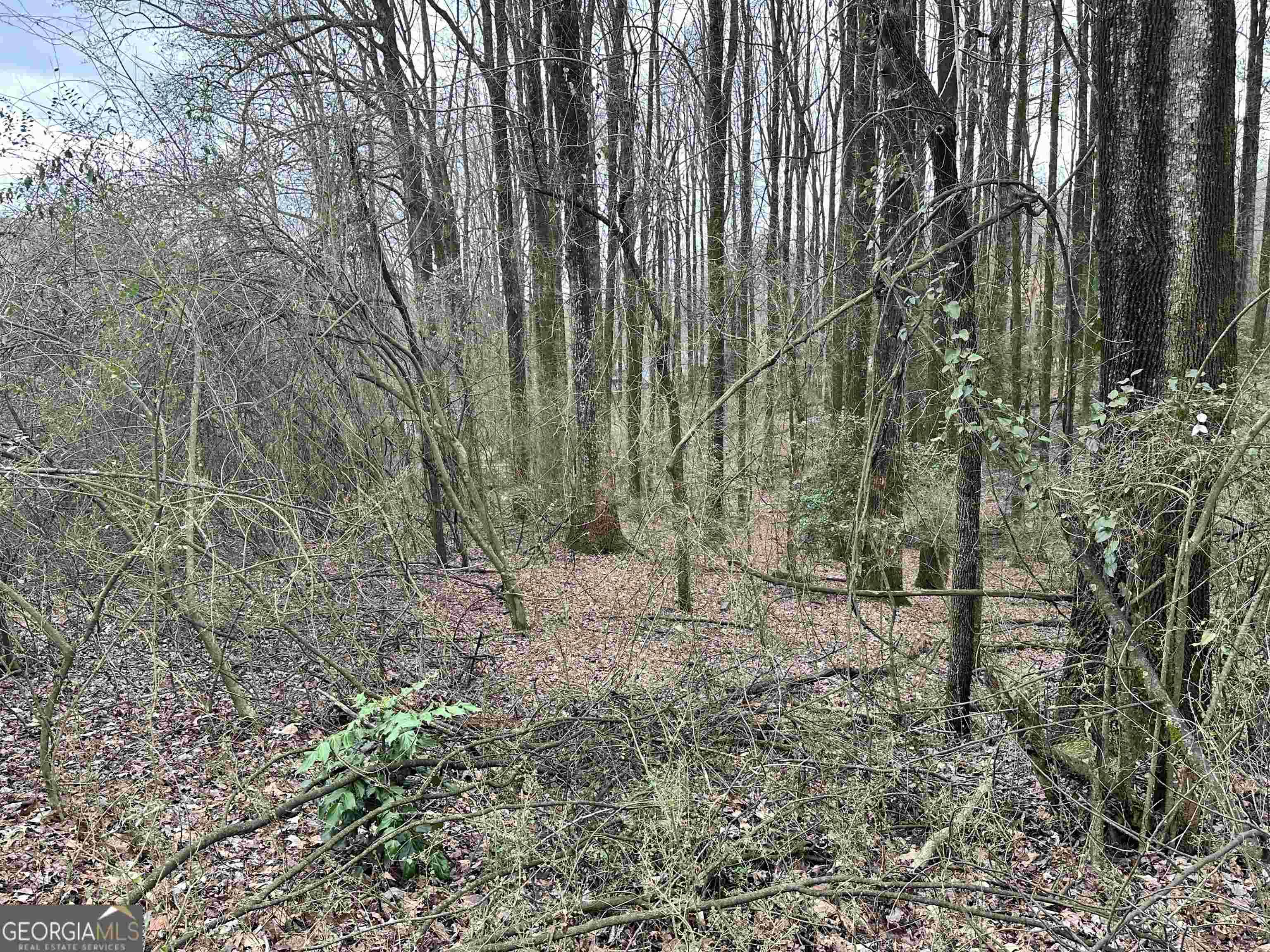 Ellijay, GA 30540,4 LOT Timberwalk DR