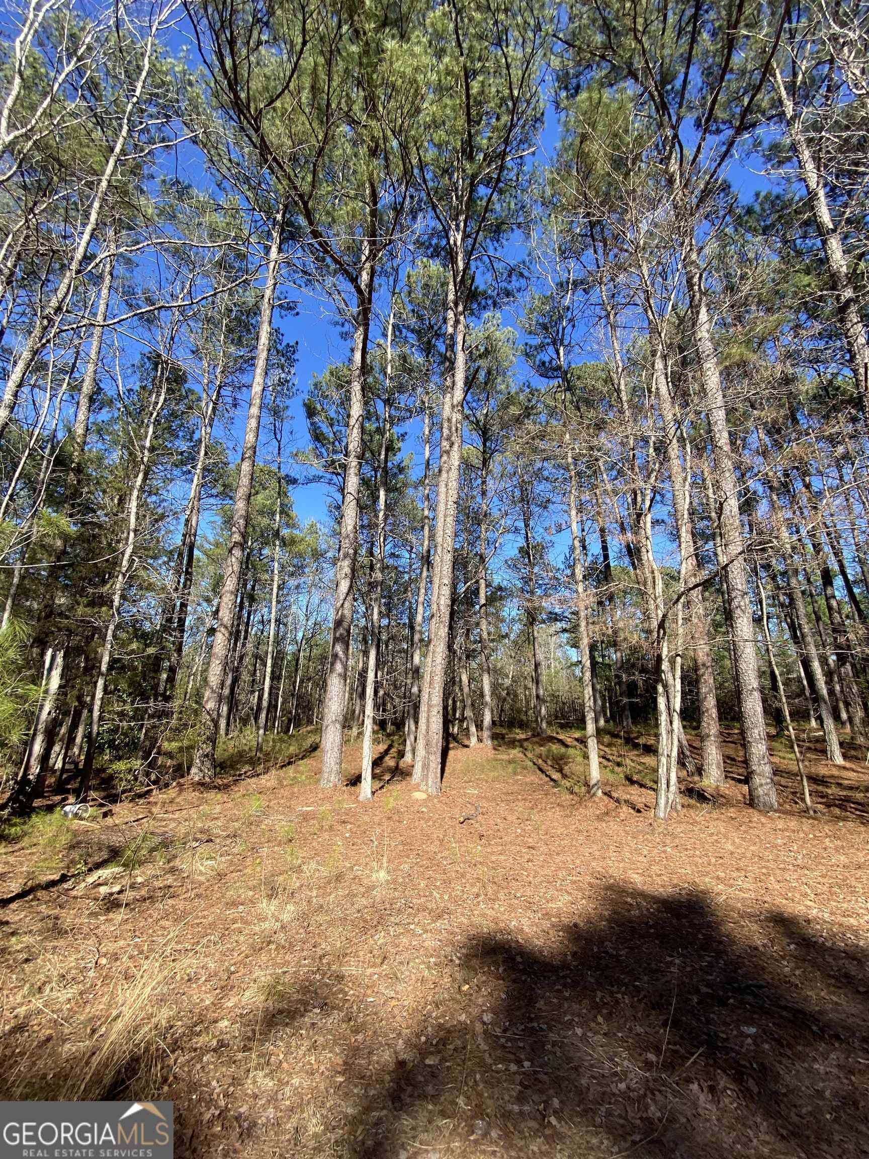 Pine Mountain, GA 31822,2519 Myhand RD