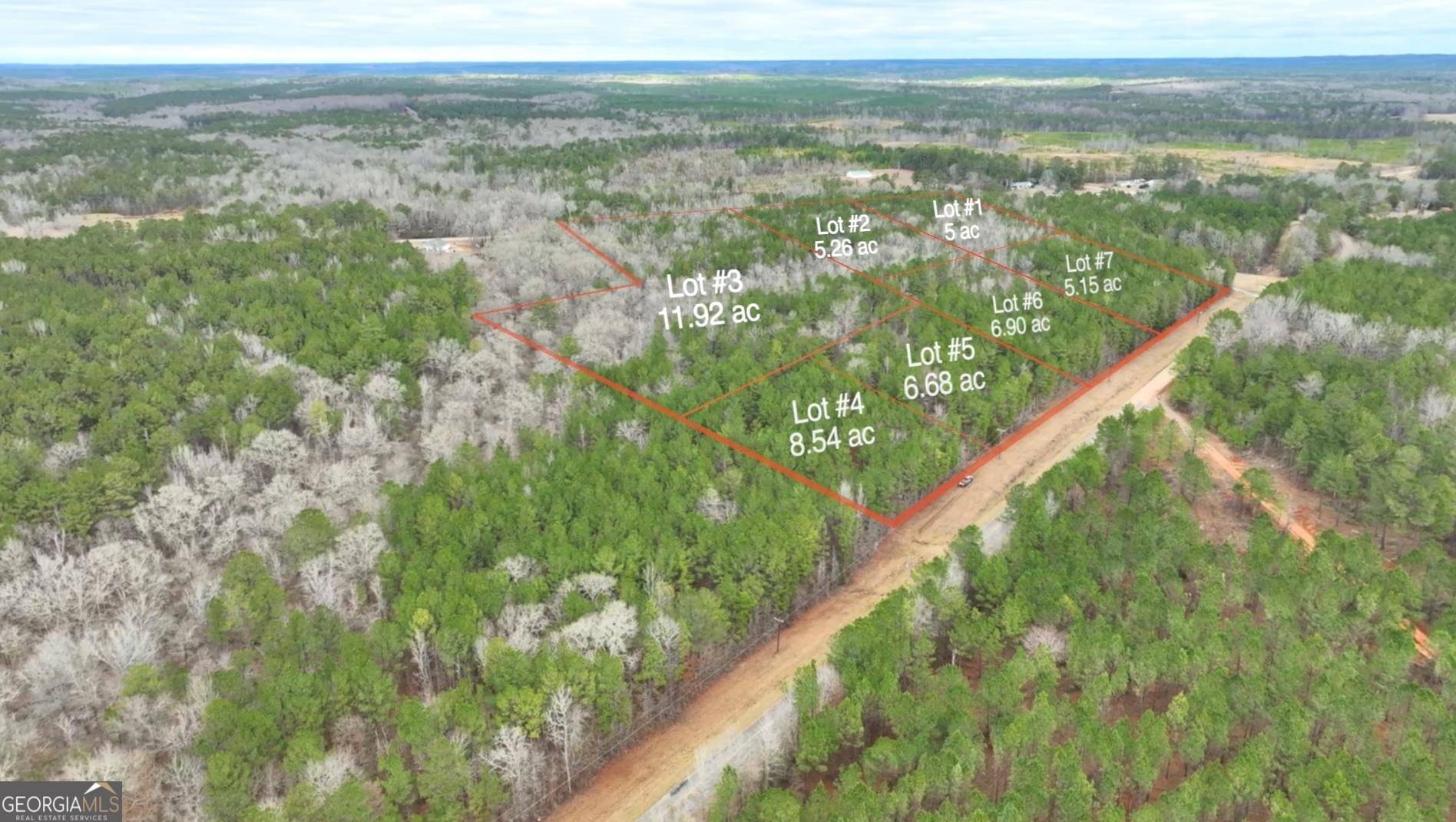 Culloden, GA 31016,0 Us Highway 80 - 11.92 Acres