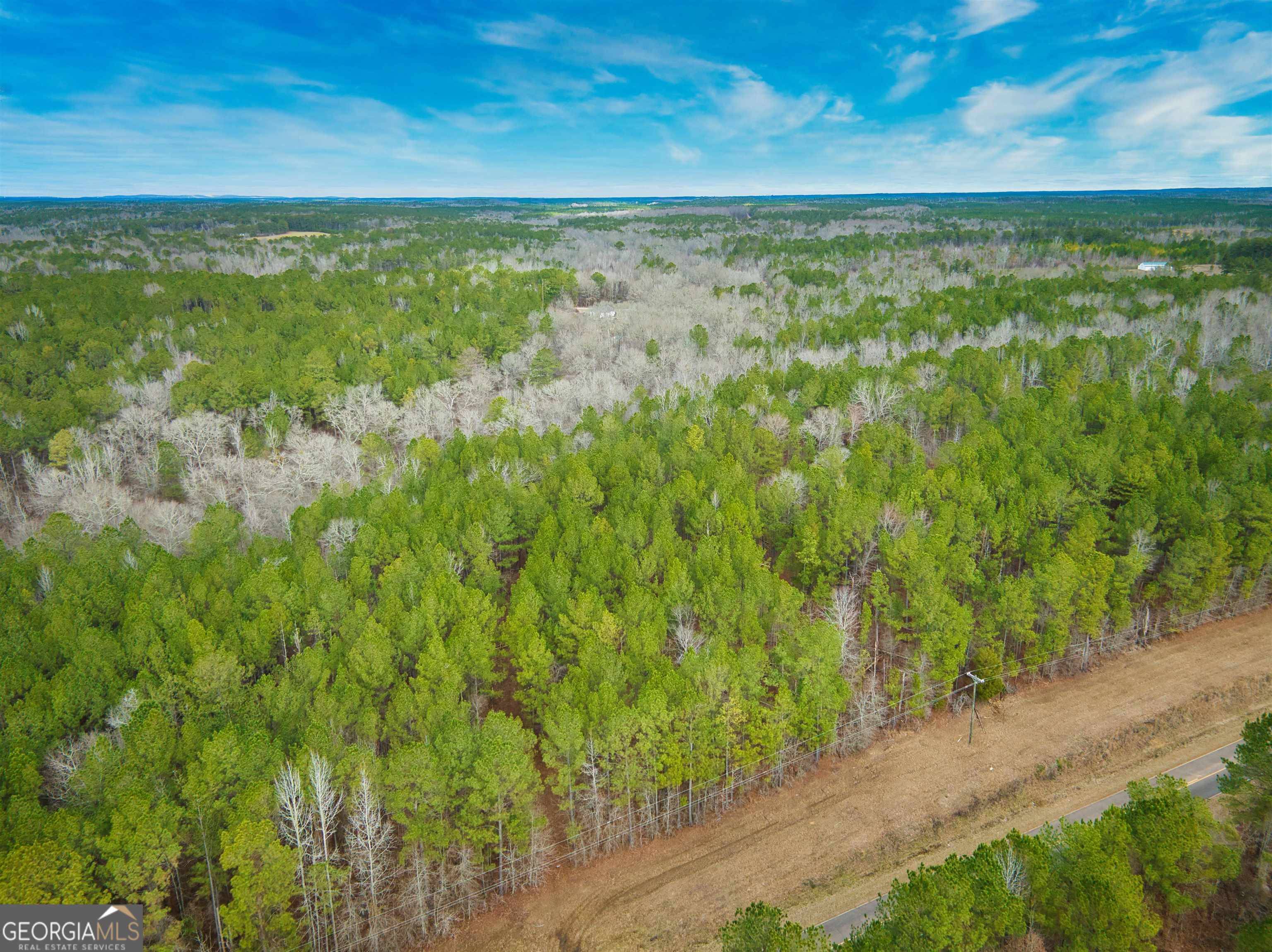 Culloden, GA 31016,0 Us Highway 80 - 15.22 Acres