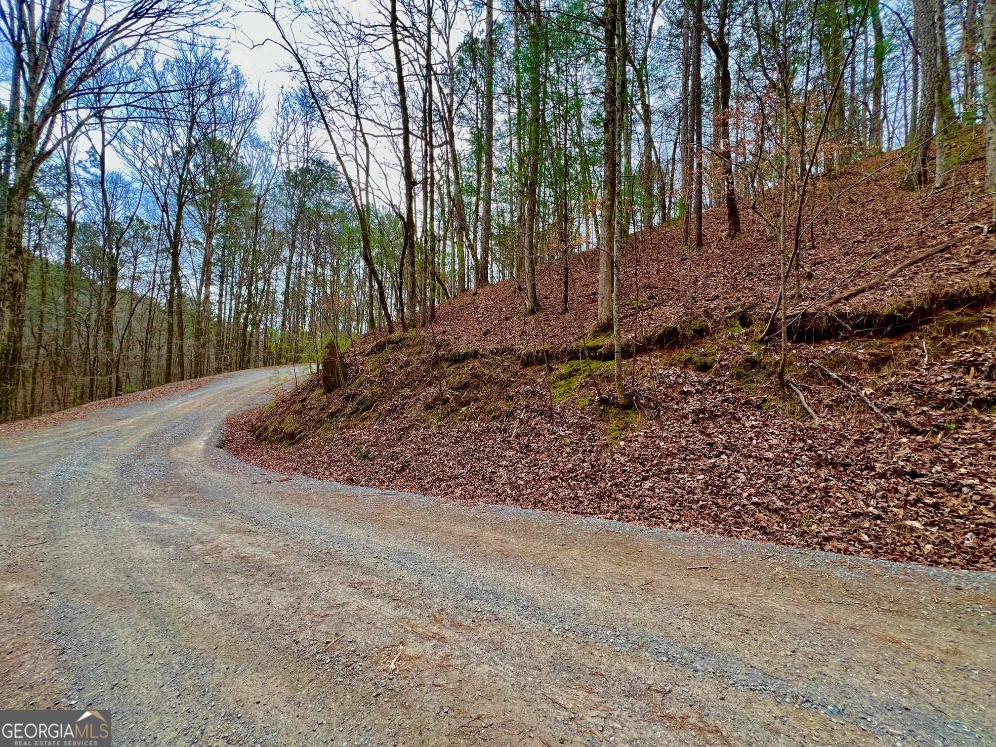 Ellijay, GA 30540,2961 Newton LN