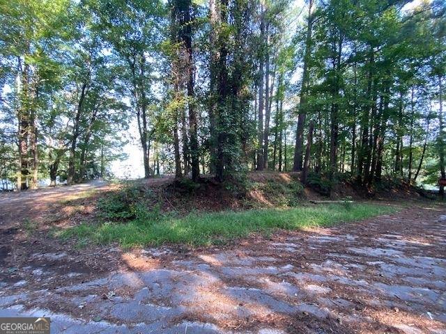 Elberton, GA 30635,0 Cooter Creek Rd