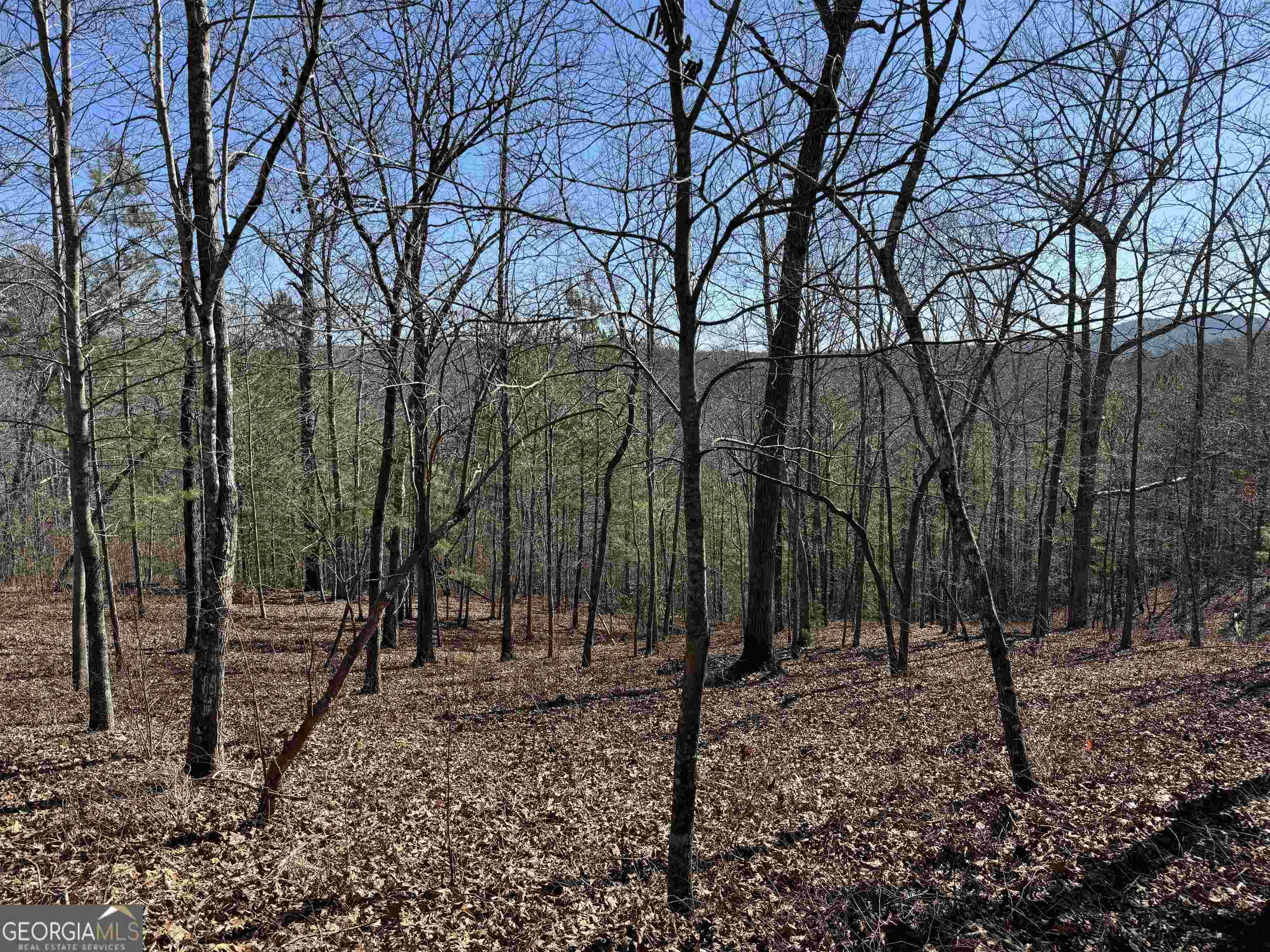 Ellijay, GA 30540,0 Harris Creek Drive Lot #29