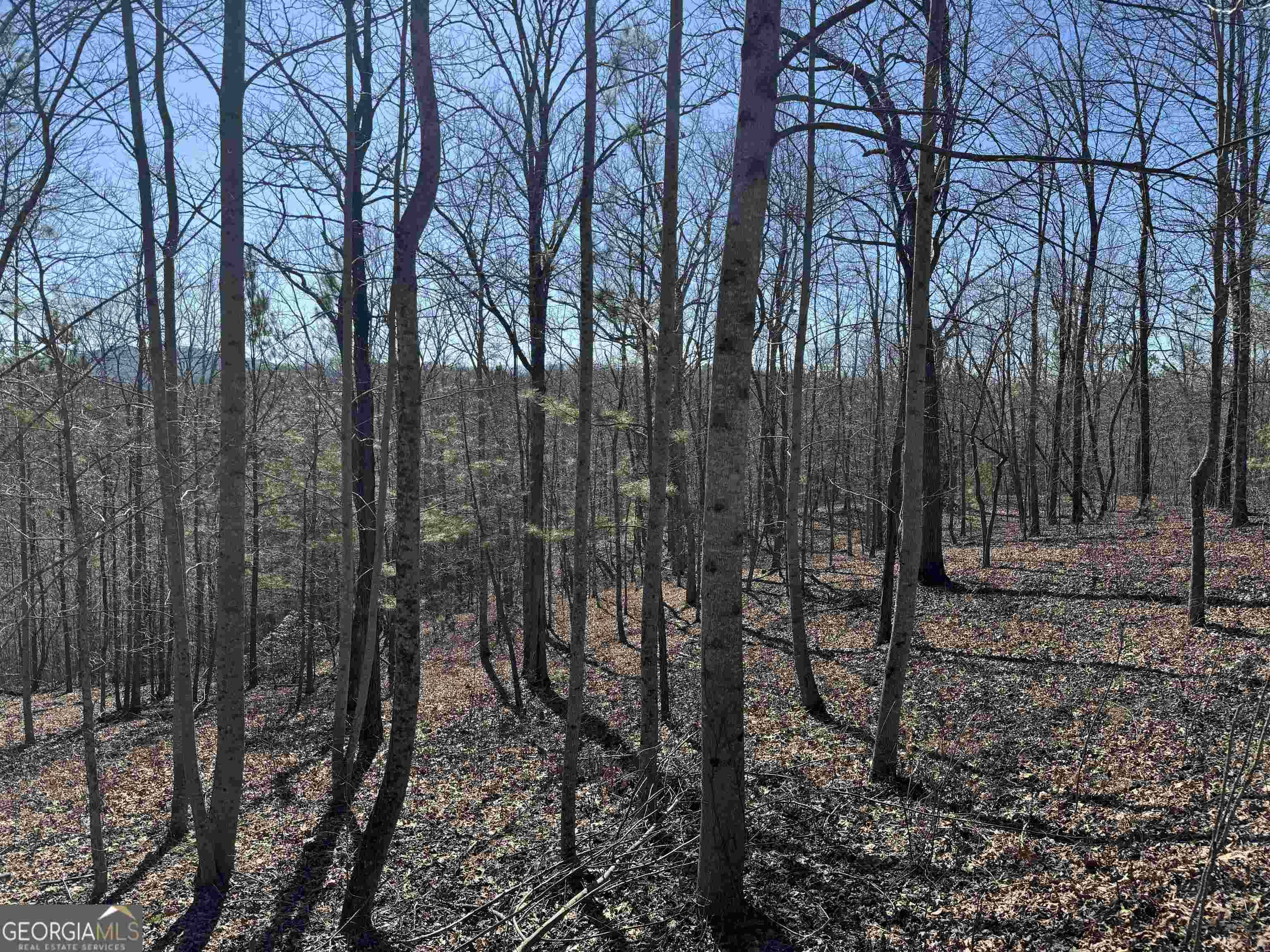 Ellijay, GA 30540,0 Harris Creek Drive Lot #29