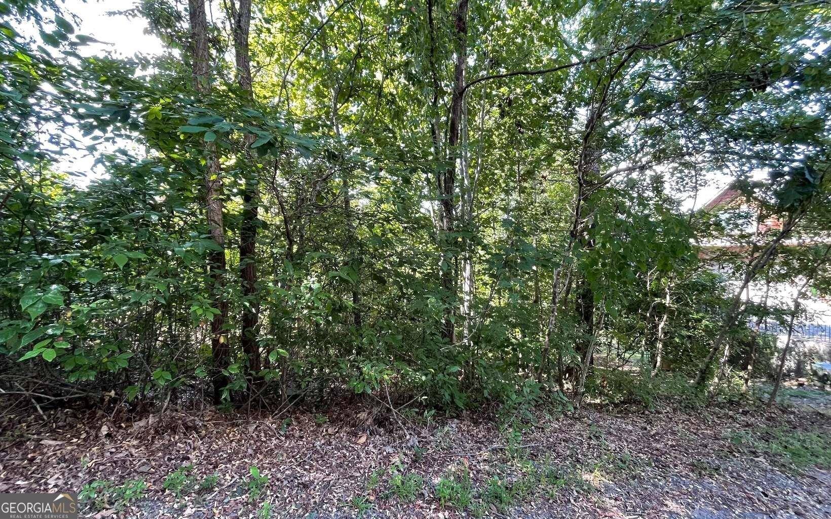 Hiawassee, GA 30546,0 Ramey MTN #LOT 17